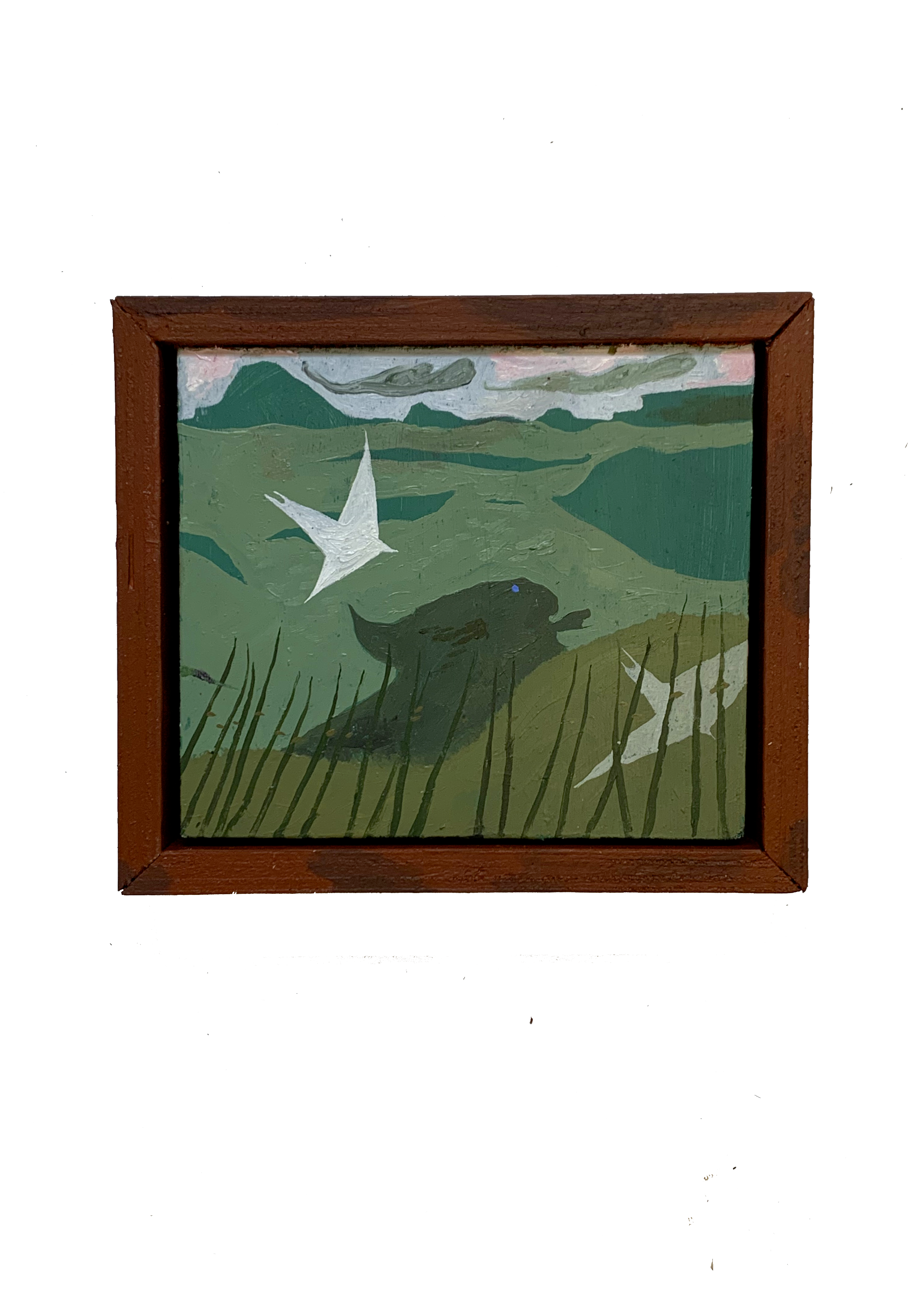 SWIFTS OVER ARDUAINE 1.png