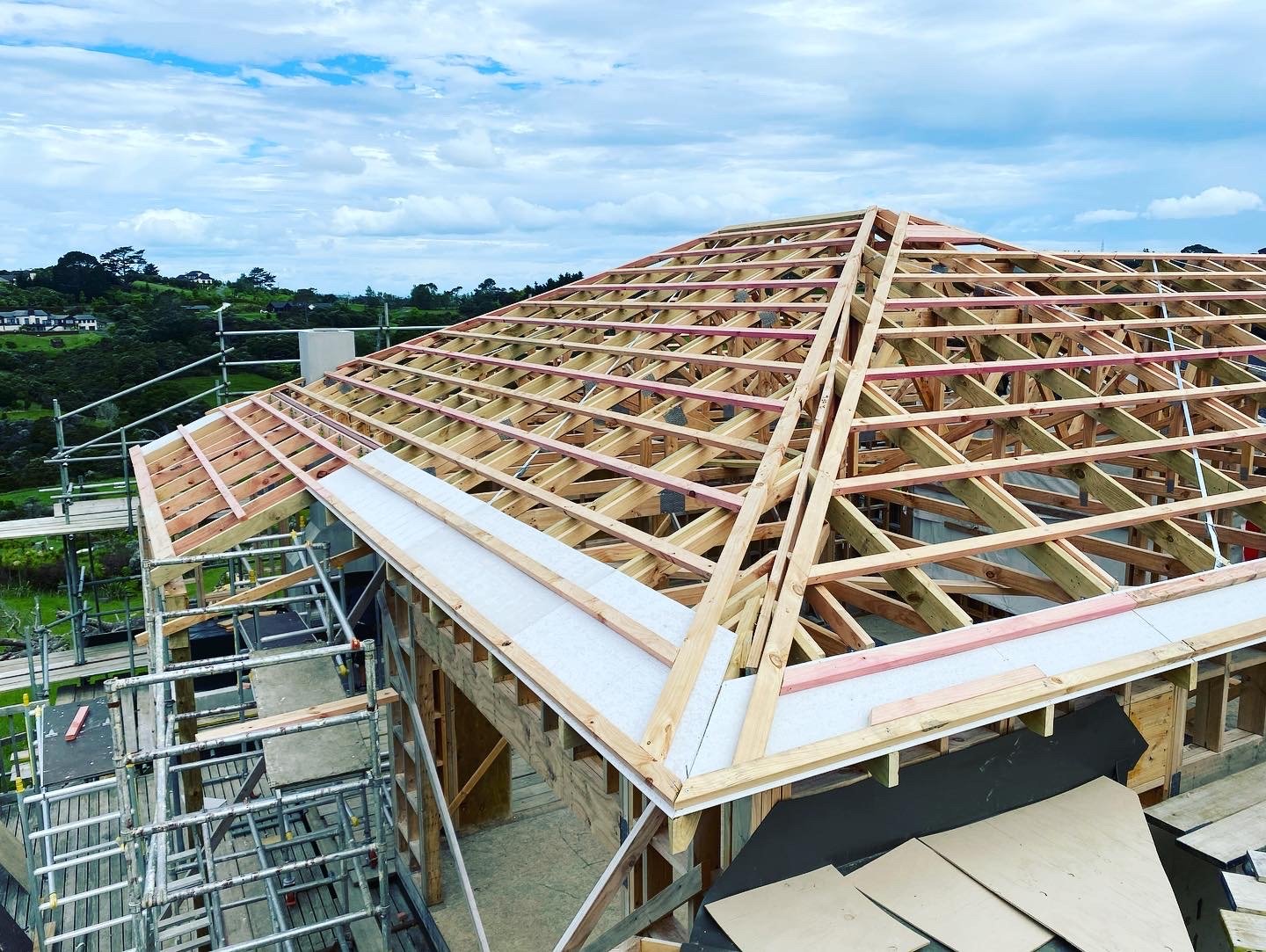 0463F34A-5A43-4B36-82F1-D7860DB8A3CE 2.JPG