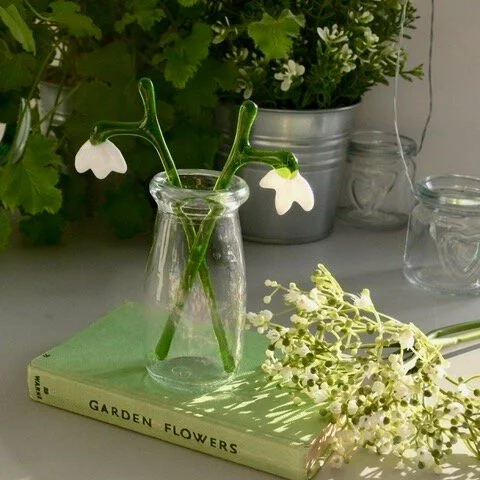 Unknown-2 (2) cropped left.jpeg