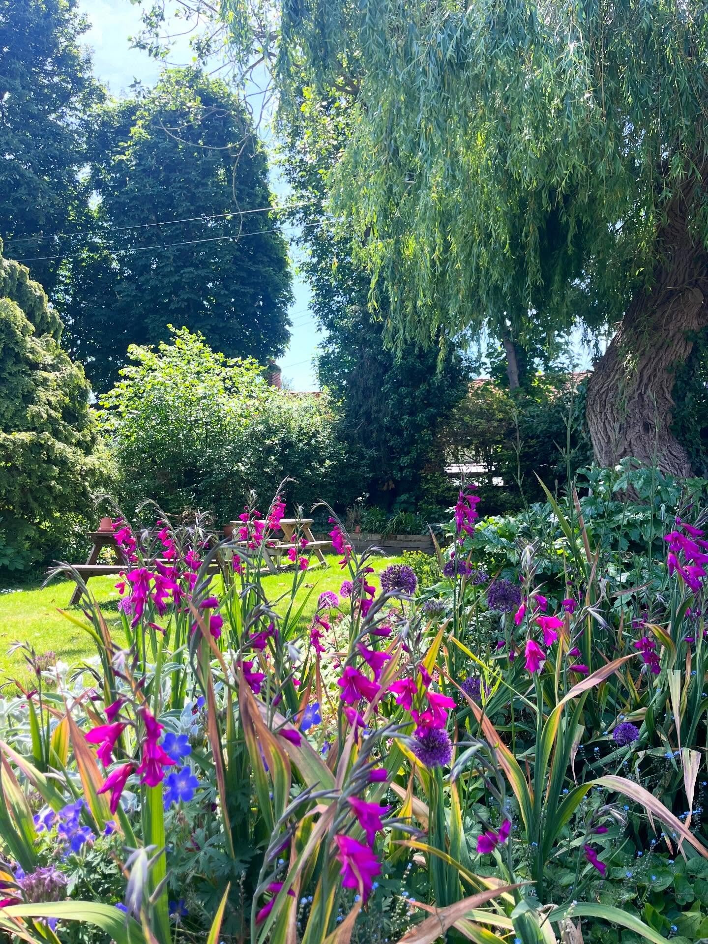 How can you resist our beautiful gardens in this sunshine! Open all weekend as usual including Monday serving food until 4.30pm, call us to reserve your table ☀️🌺