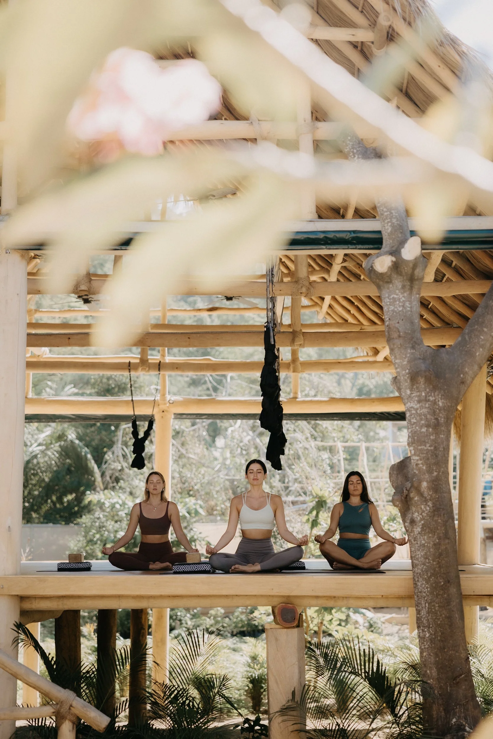 Yoga Shala.jpg