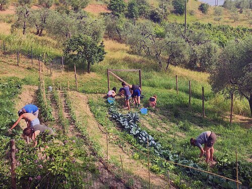 HUERTO_20190801_132401 17.14.47.jpg