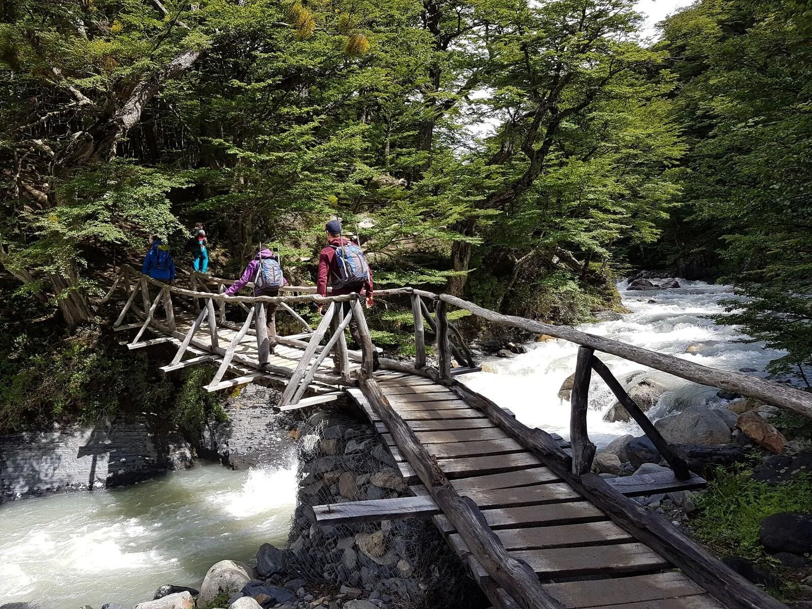Patagonia Hike.jpeg
