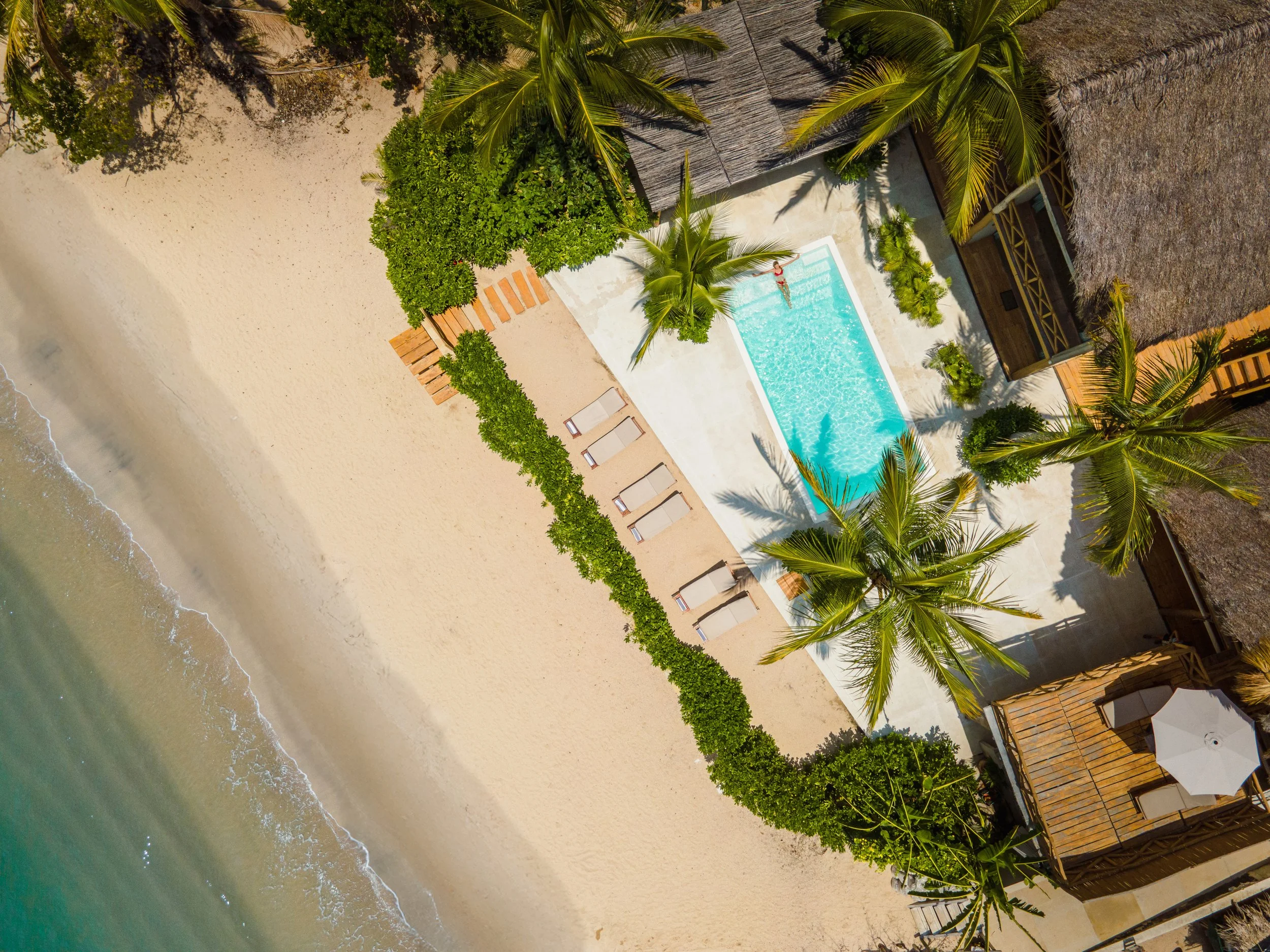 Drone from above.jpg