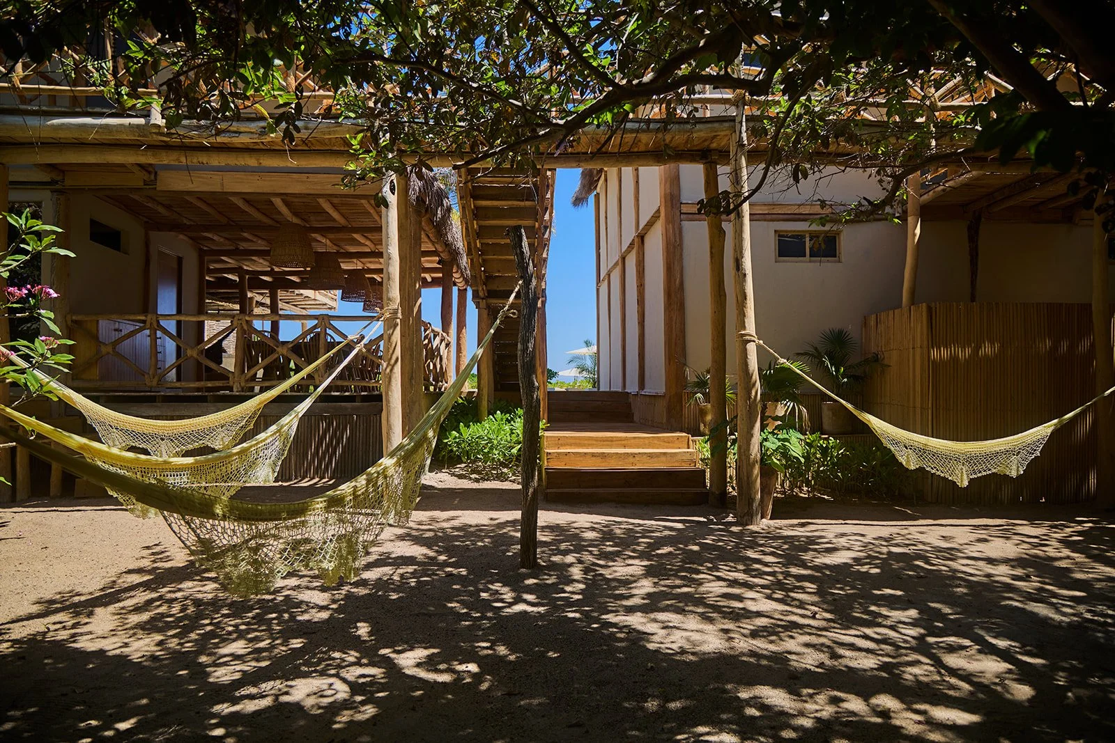 MIXTO - Backyard.jpg