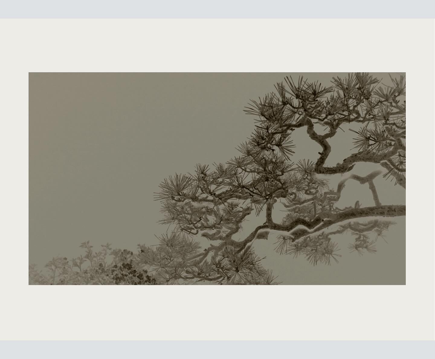 山本さんに撮影されたこの水墨画調の写真はこれだけで美しい。
私の目標はこれを南画(文人画)調へ寄せていく事になります。
@yusuke.y_ph 

The photograph captured by Mr. Yamamoto in this ink wash painting style is beautiful on its own. My goal is to bring this closer to the style of *nanga* (literati painting).

