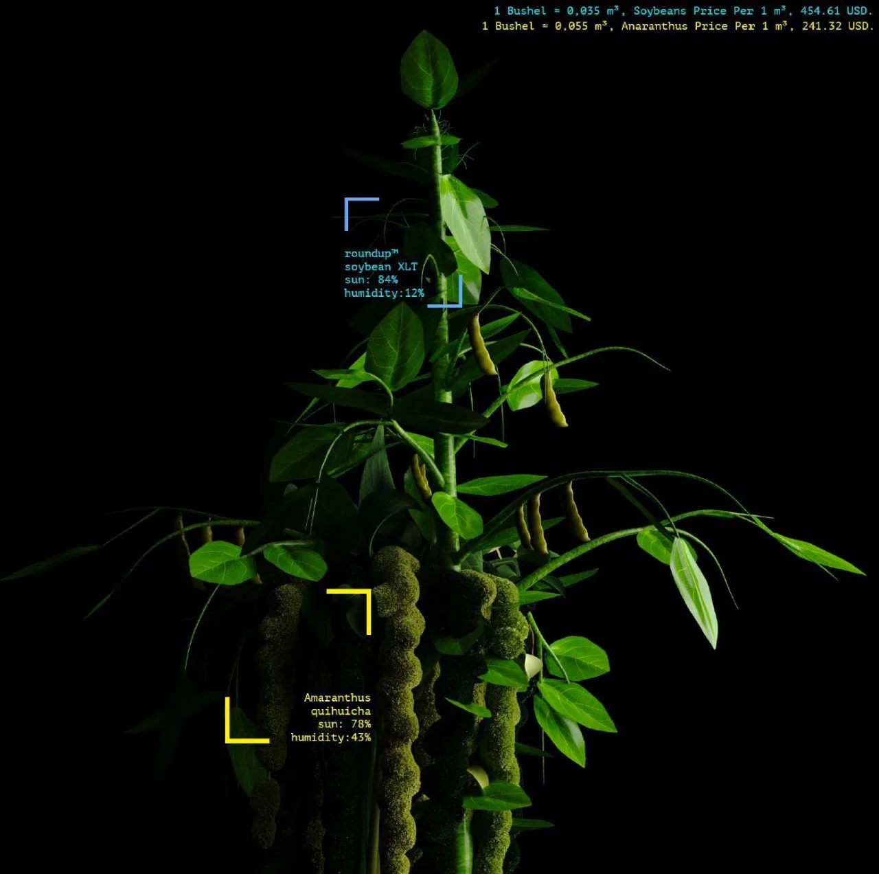 Longlist 2023: A Deep Dive