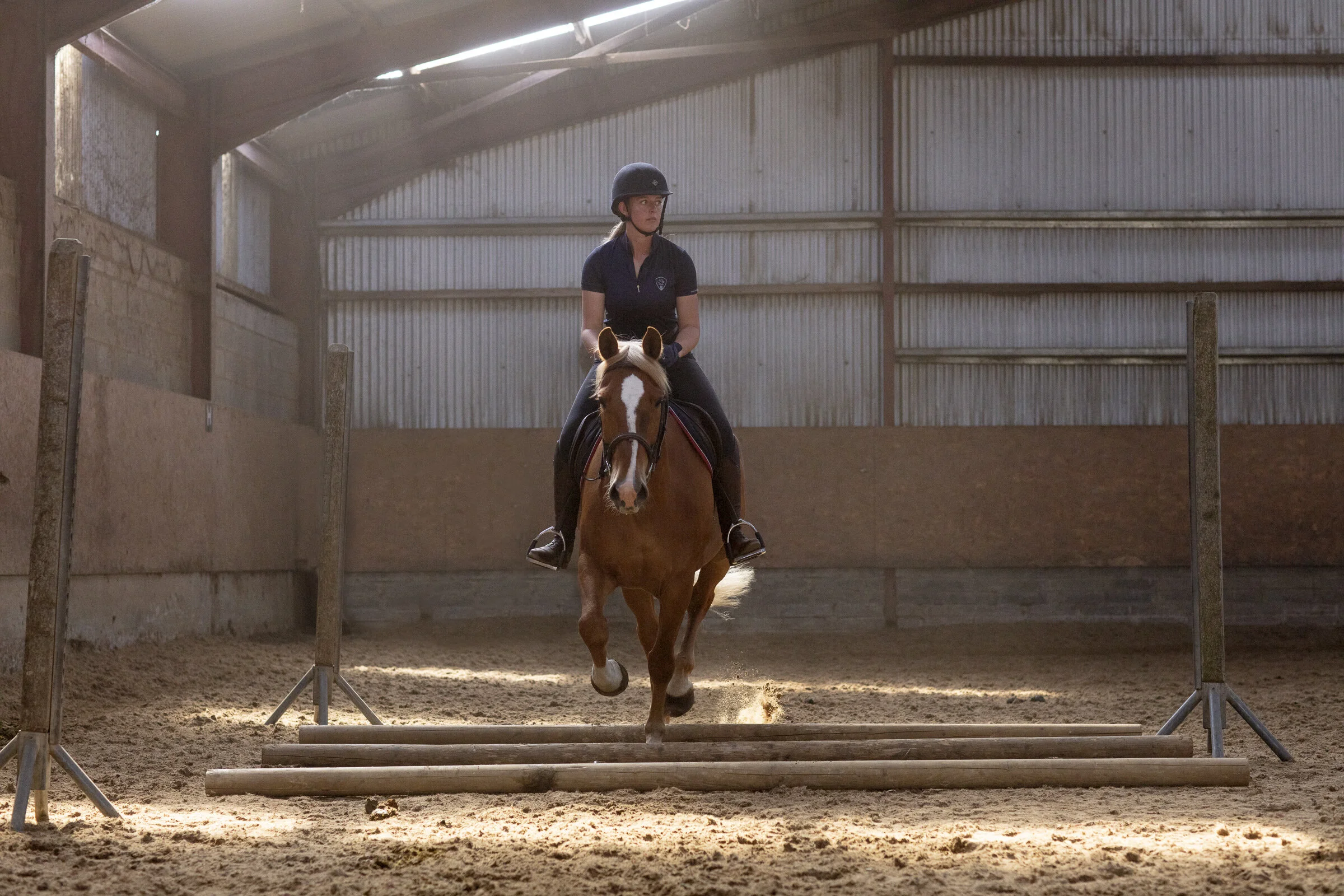 Carrickmines Equestrian Centre