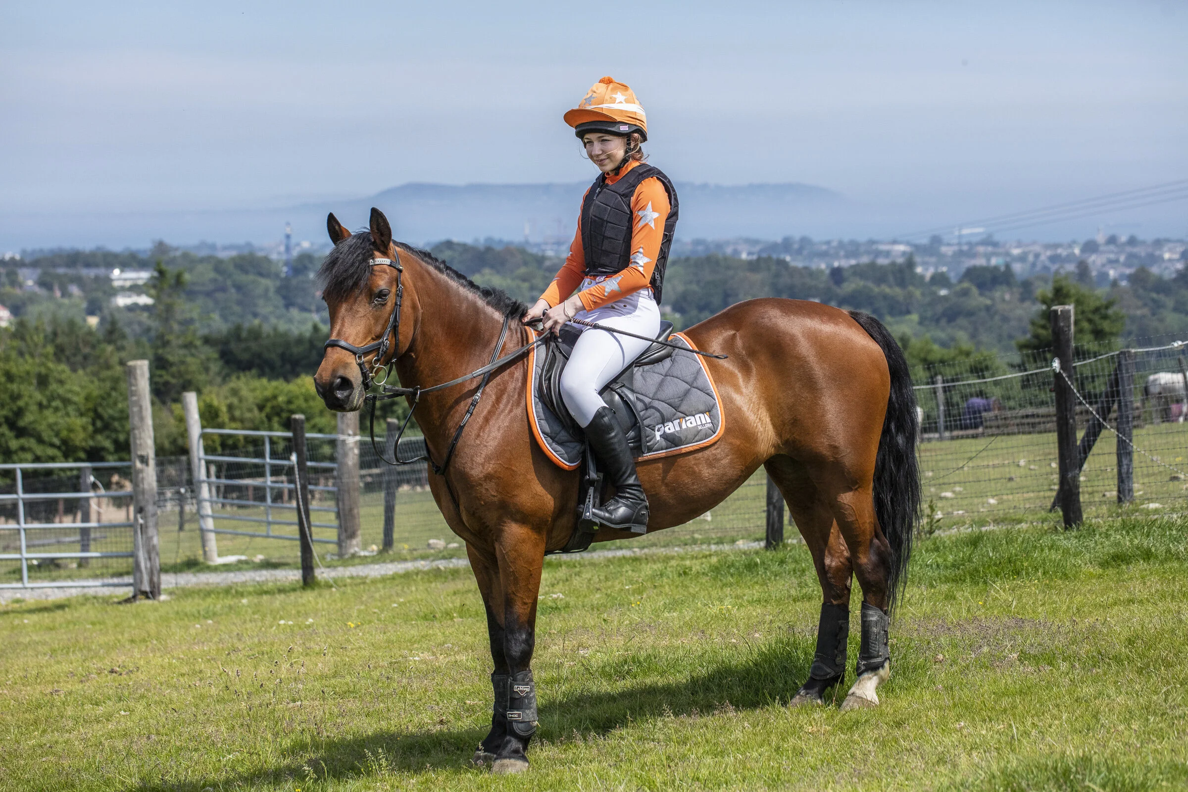Gallery — Carrickmines Equestrian Centre