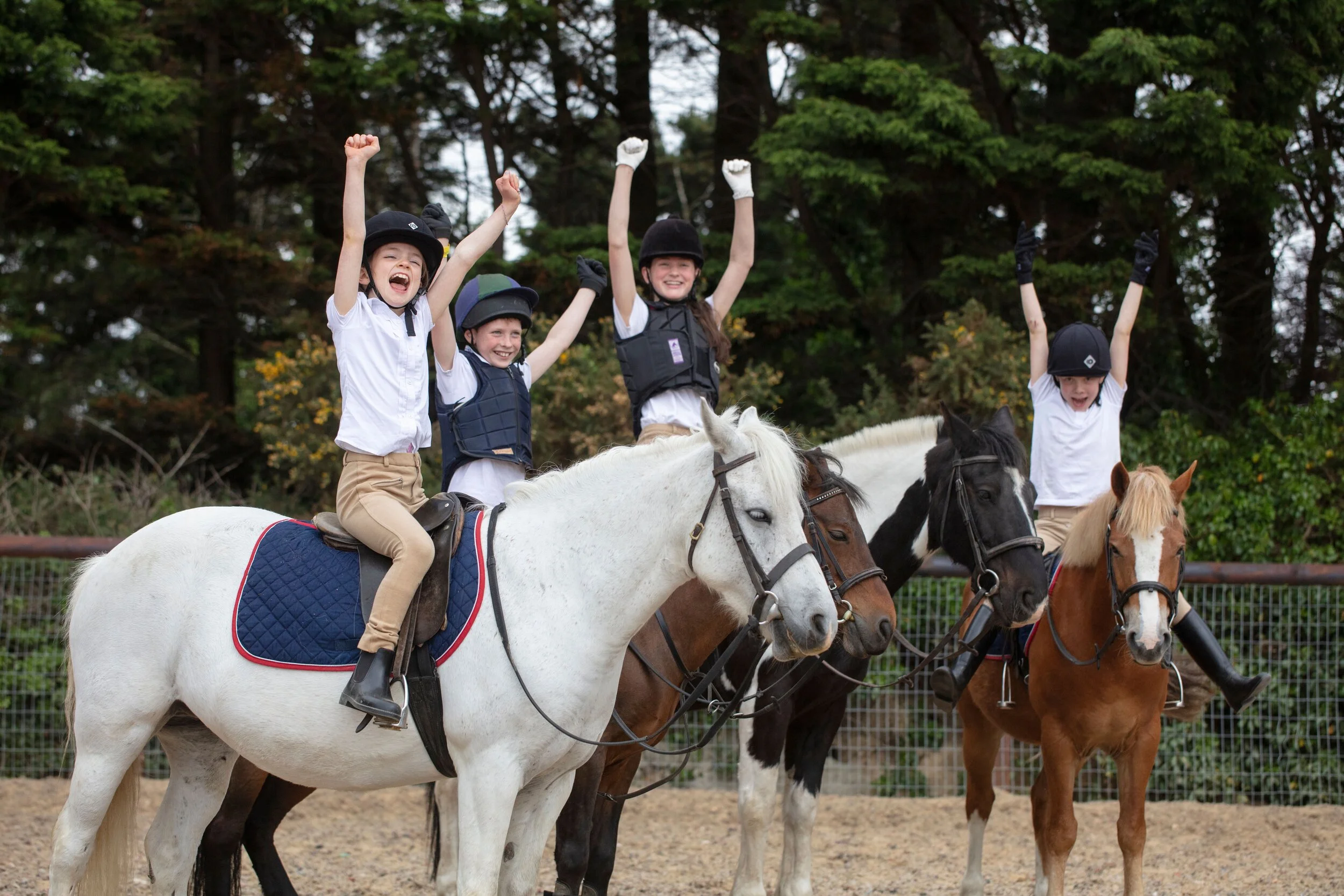 Camps — Carrickmines Equestrian Centre