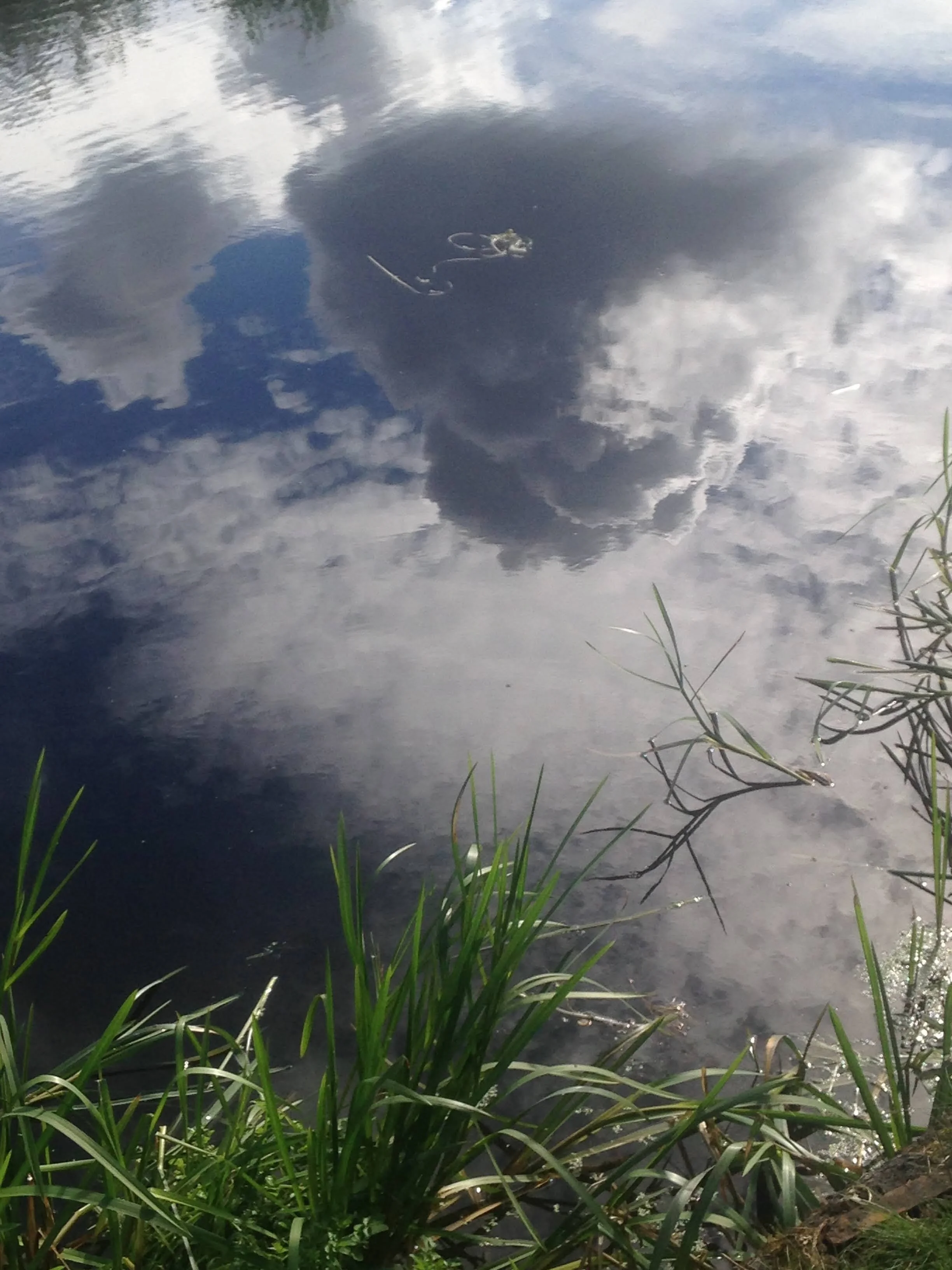 Copy of IMG_0452.JPG