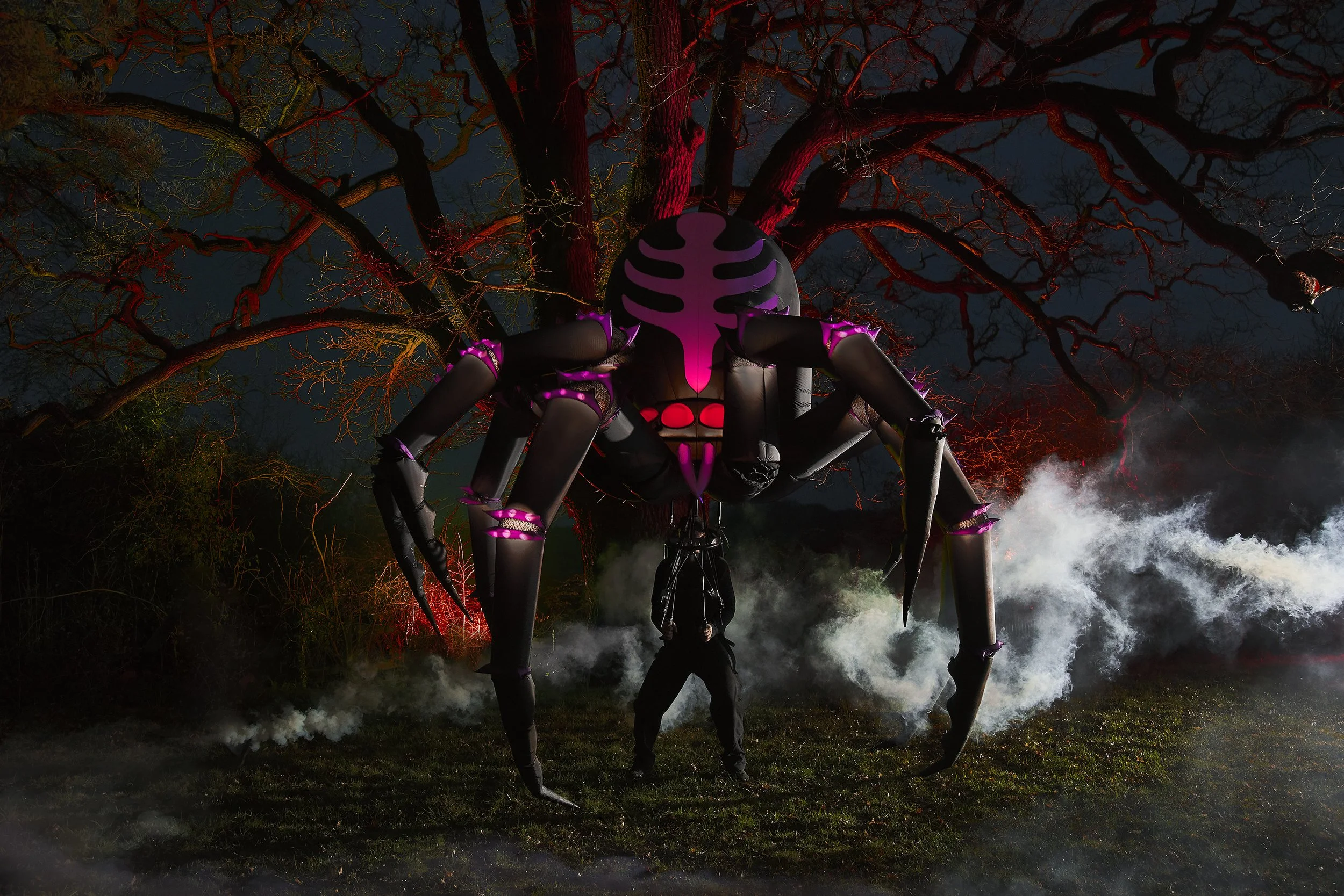 Arachnobot: Matthew Booth Photography