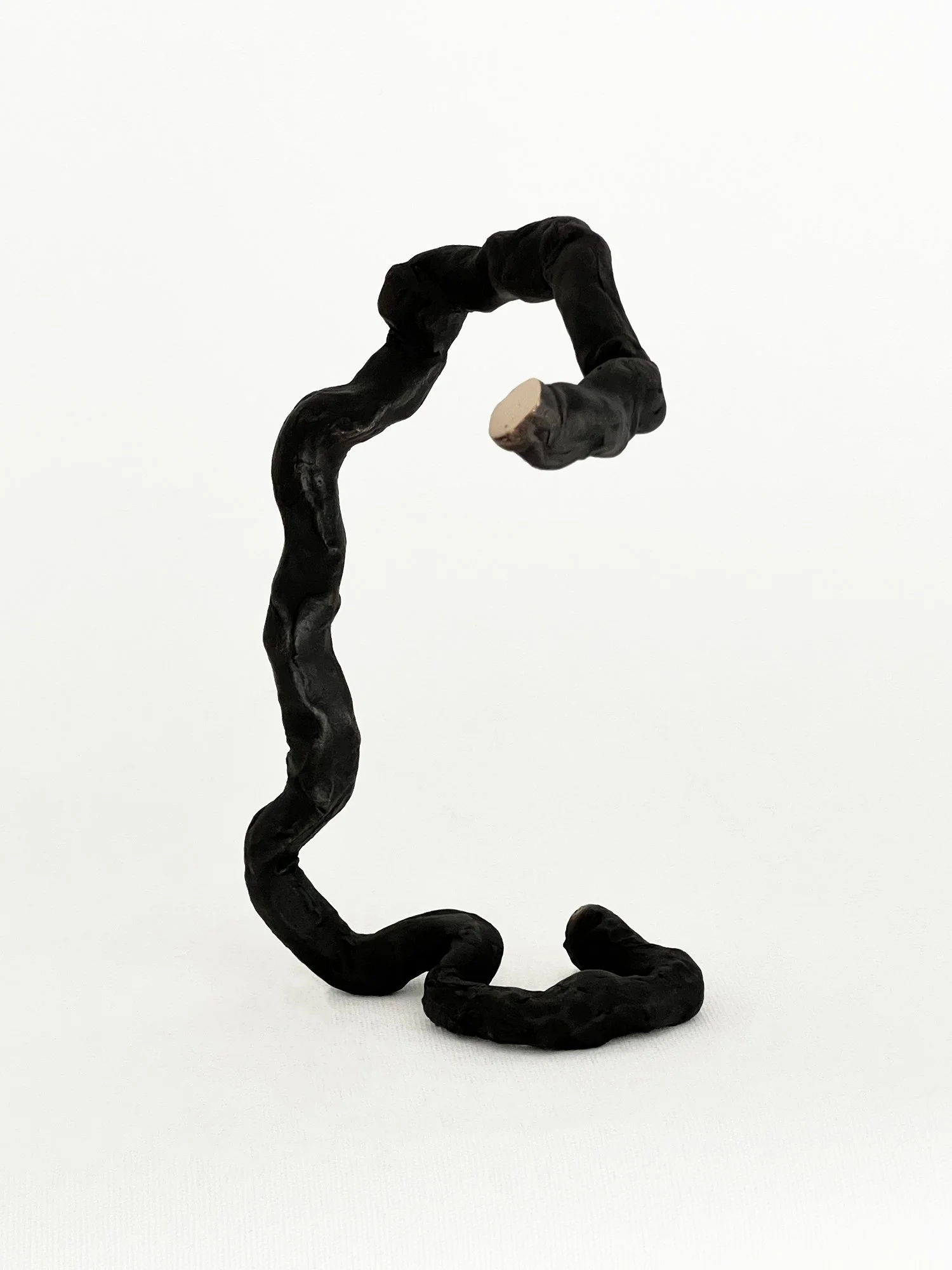 MADONREIÄT/MAAN MATOSET, WORMHOLES/LOWLY WORMS II (2026). Bronze. Photo Hanna Galtat