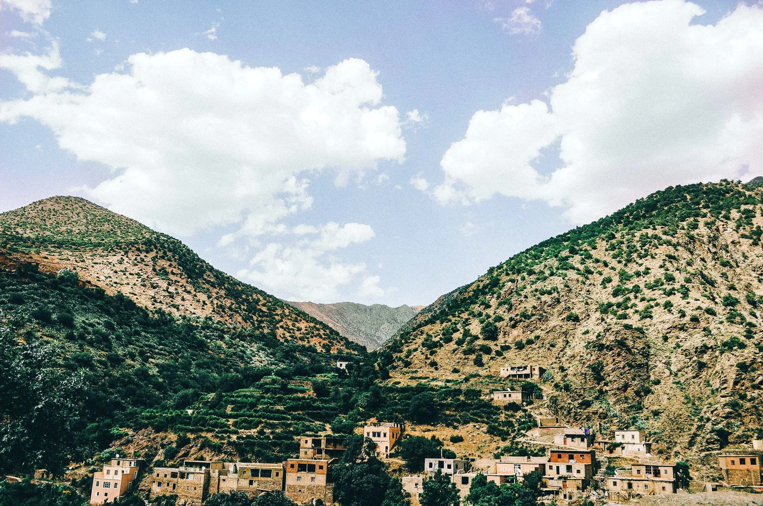 Publication Highlight: Multicriteria, Multiresolution Modeling of Suburban Residential Landscape Alternatives: Water-Efficient Villas in the Arid Middle East