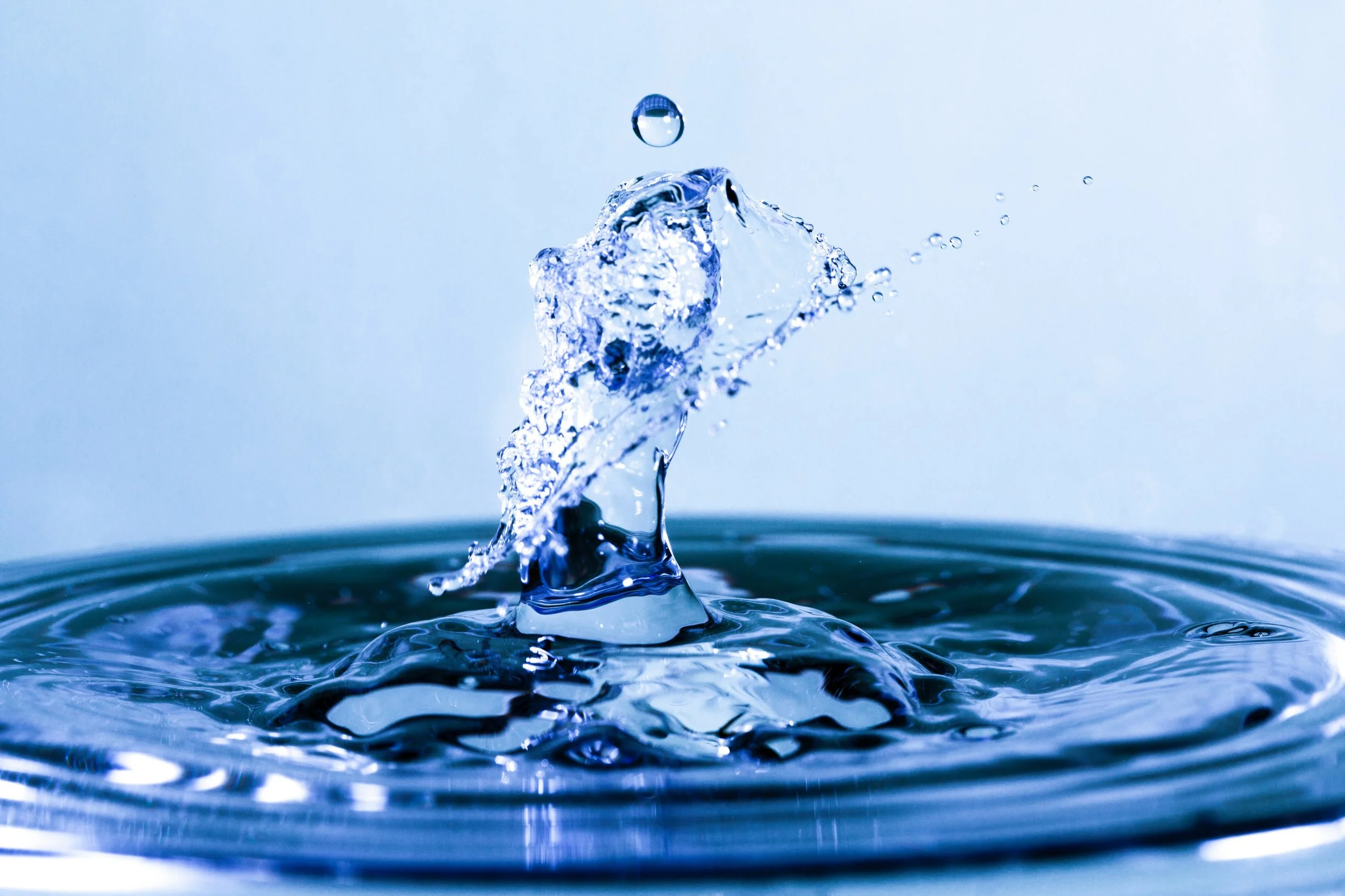 Stanford Report Highlights Greta Markey’s Research on Water Affordability