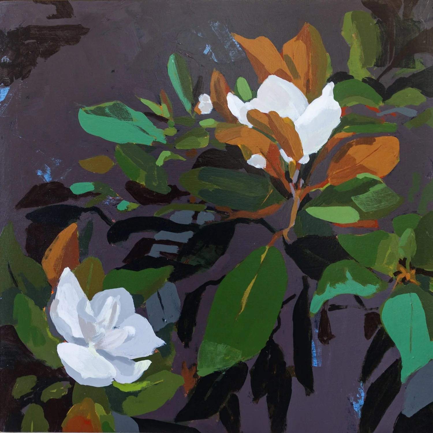 Mountain Magnolia II: After Rain