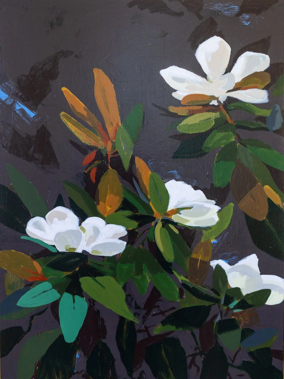 Mountain Magnolia V: Quiet Edge