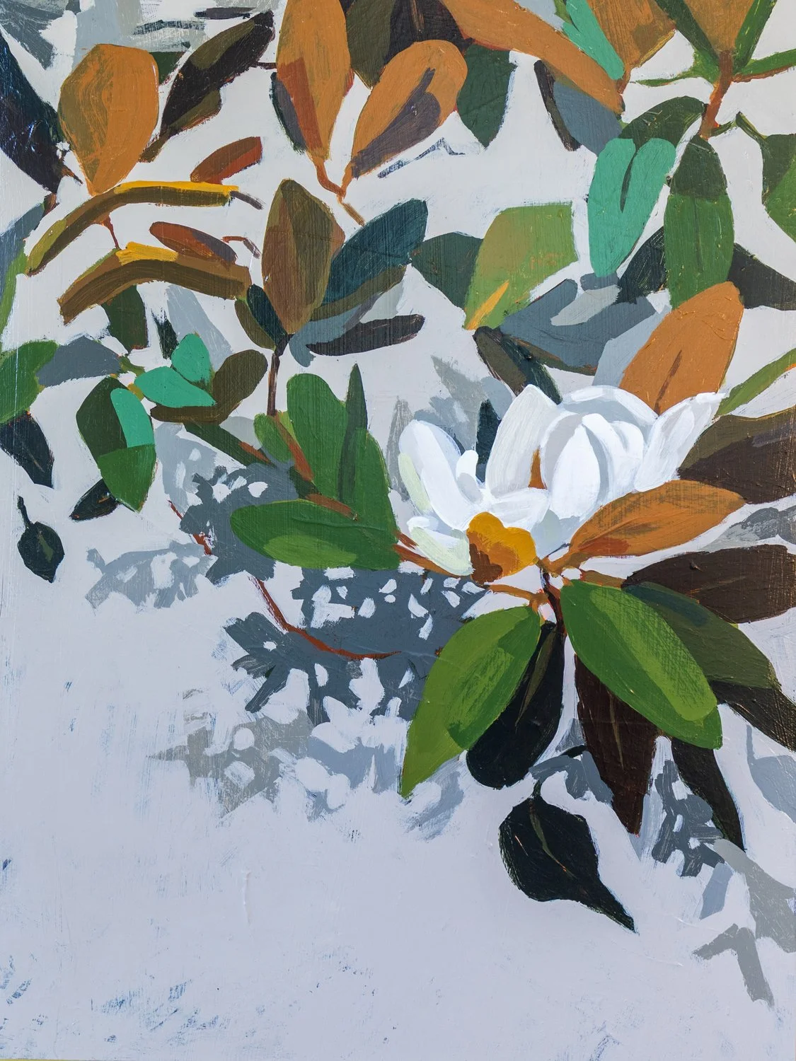 Mountain Magnolia VIII: Daybreak