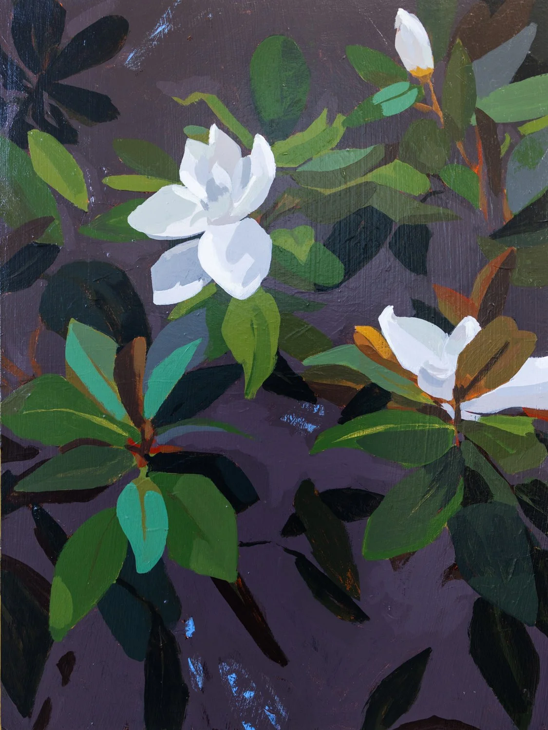 #09 Mountain Magnolia VII: Open Air
