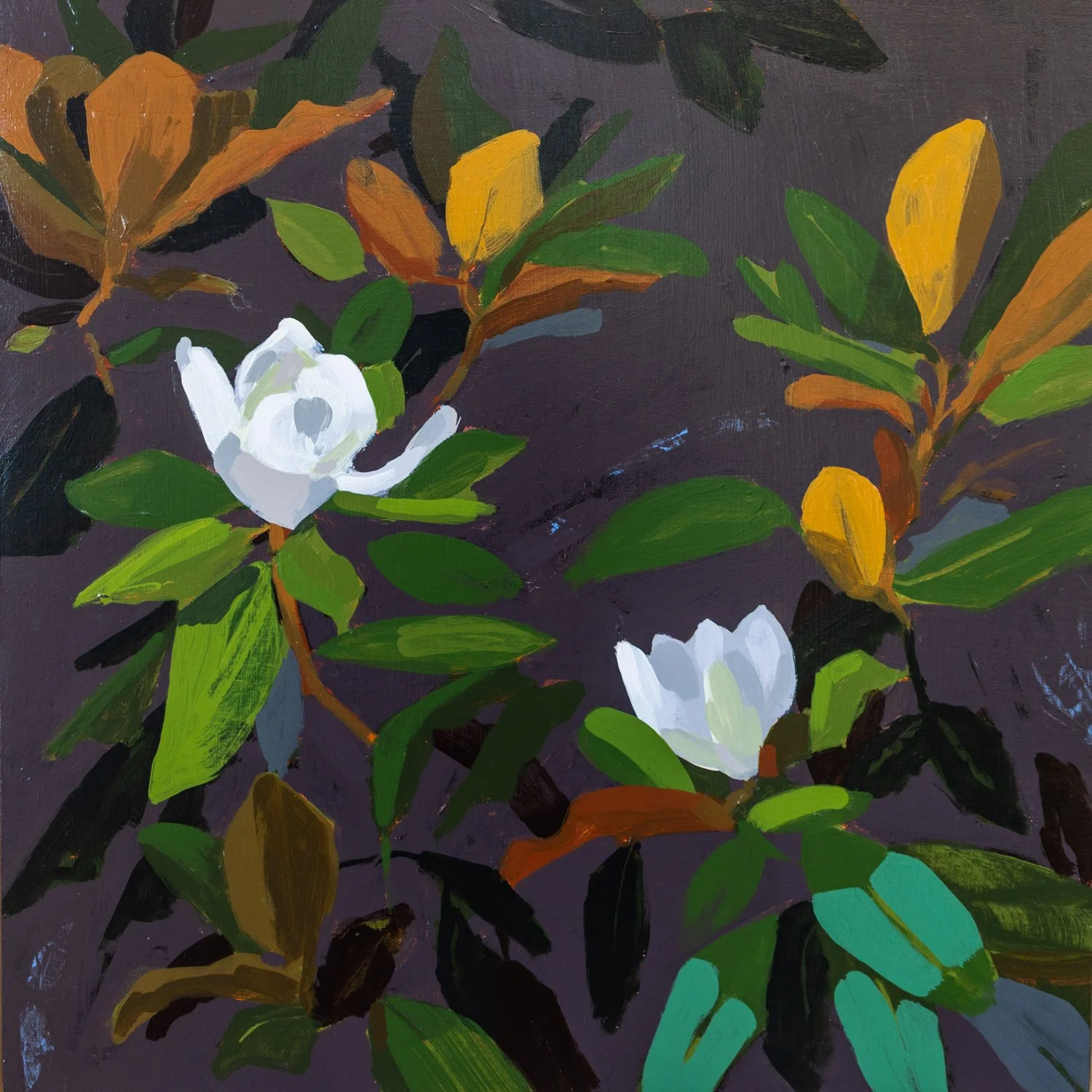 Mountain Magnolia III: Spring Woodland