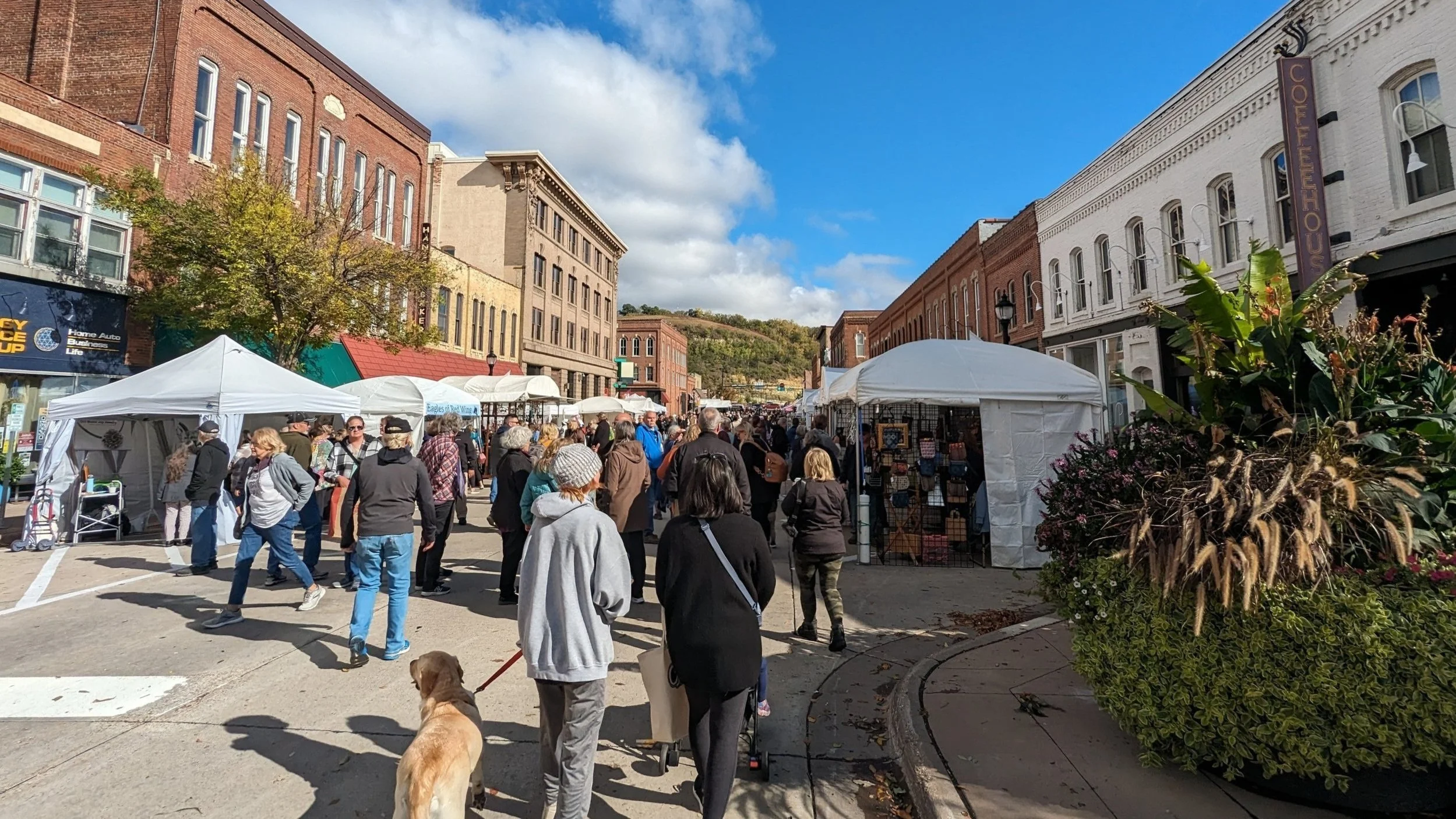 Red Wing Arts Fall Festival
