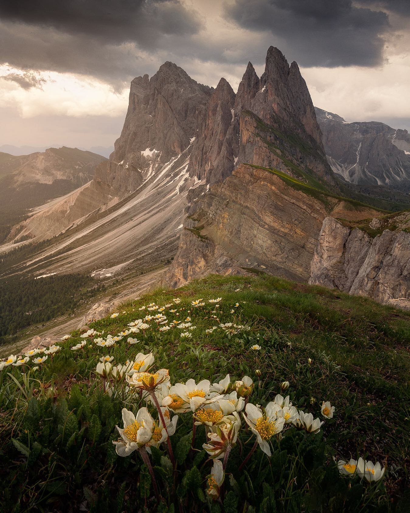 So happy and grateful to be back in the Dolomites again. Seceda was on top of my wishlist to visit. The 800+ altimeters hike was more than rewarding. ⁣
⁣
++++++++++++++++++++++++++++⁣
⁣
#dolomiti #seceda #landscapephotography #landscapephotograph #la