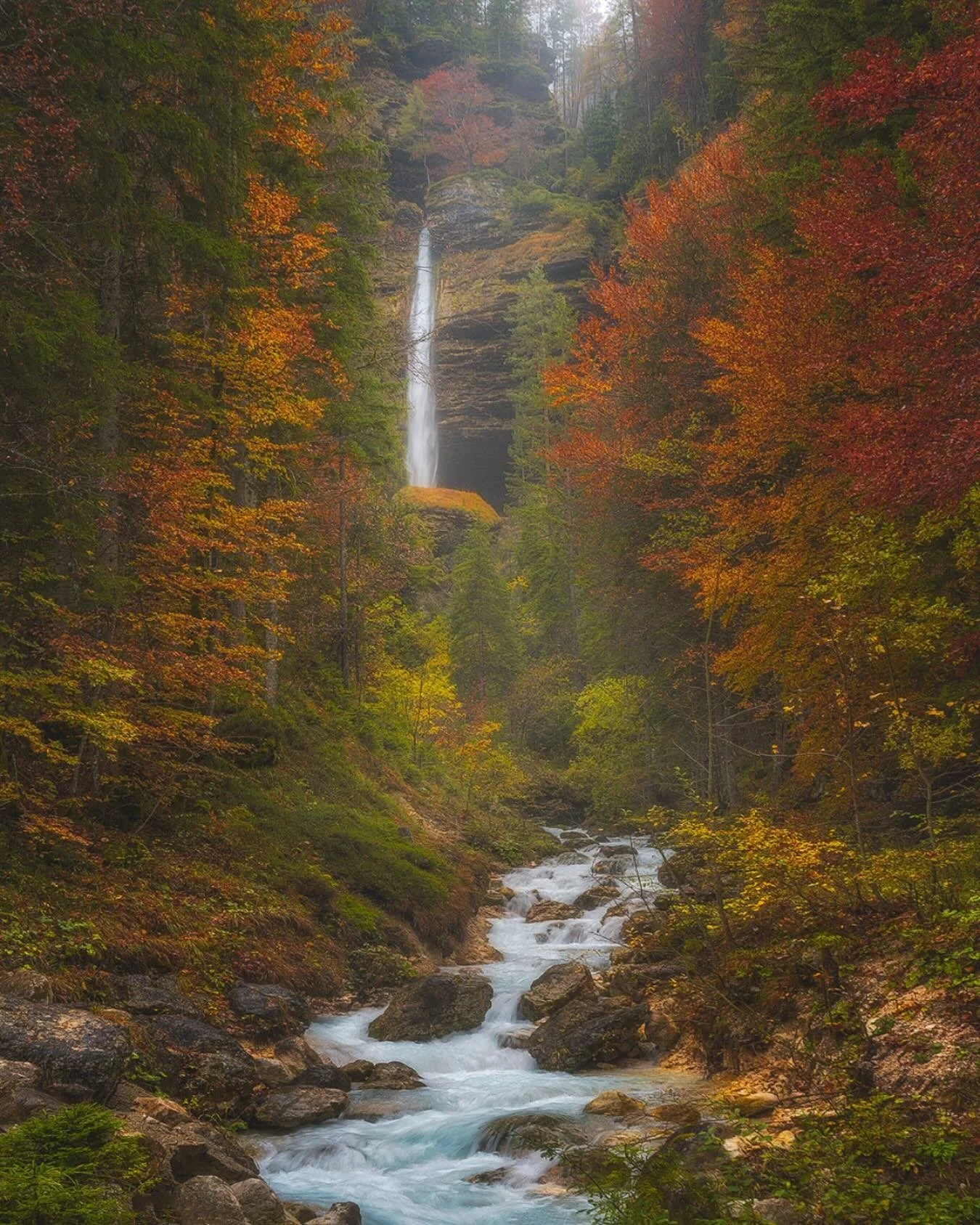 Autumn in Slovenia 🇸🇮🍂😊❤️

&raquo; To follow my work and learn about my composition and post-processing techniques, visit my website fransvanderboom.com or click the link in my bio.

#landscape #nature #photography #landscapephotography #travel
#