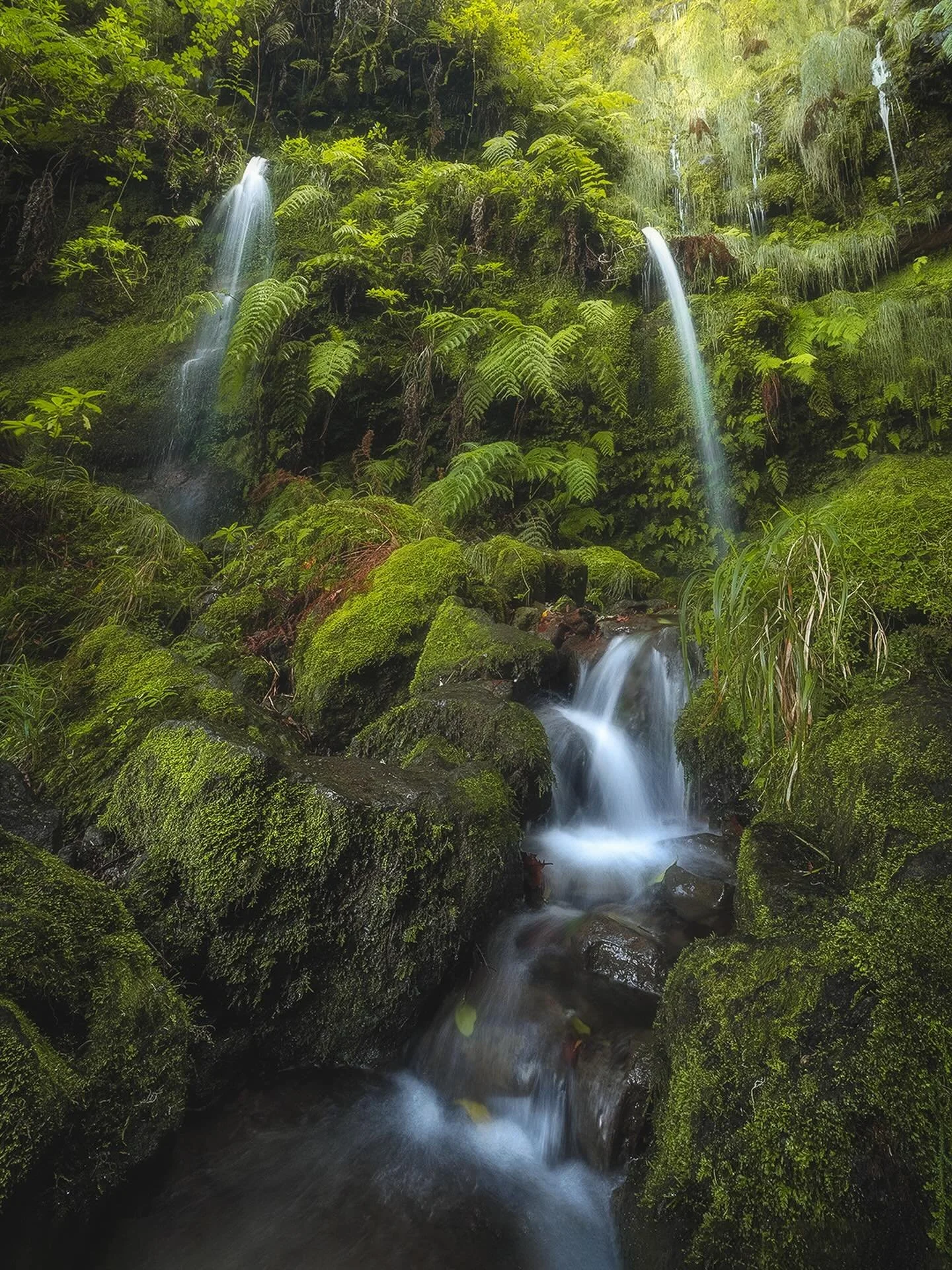I find Madeira&rsquo;s levada walks are at their best after rainfall.
Water was coming down from every cliff, turning the whole area into a series of waterfalls.
The trail was wet and tricky, but the atmosphere made it worth it.
Mist, movement, and c