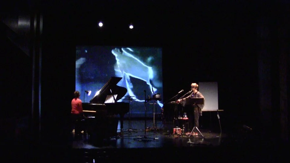 HOLE: in search of opera without Opera (2011) — lynn book