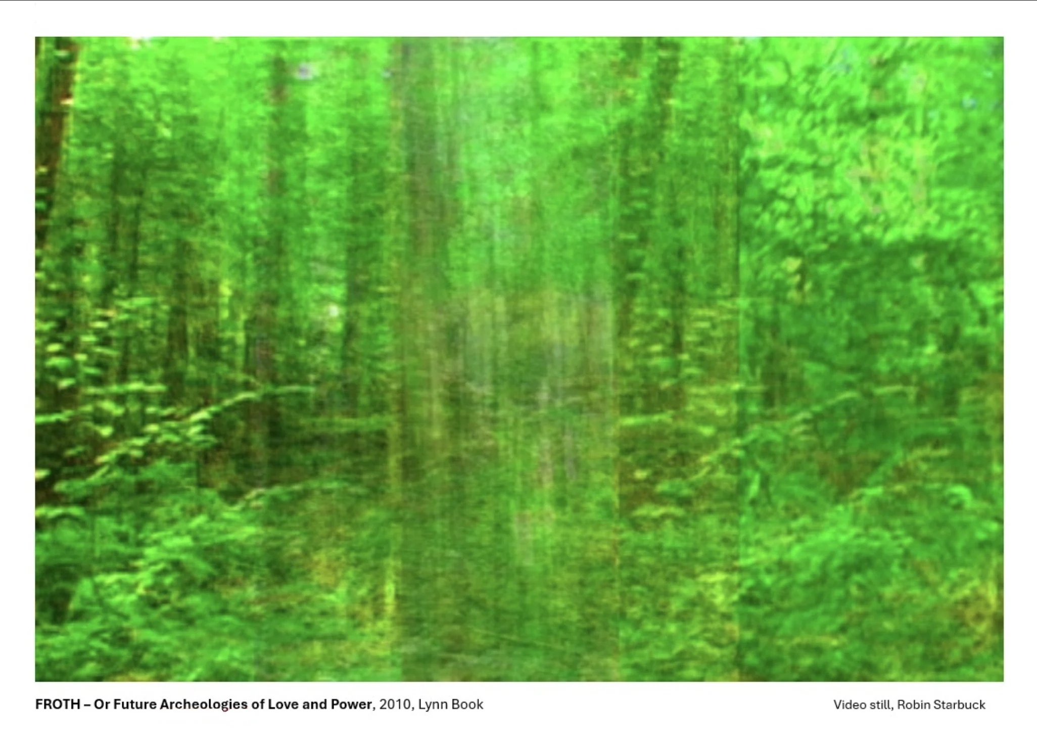 LynnBook_BodiesGoEverywhere_FROTHForest.jpg