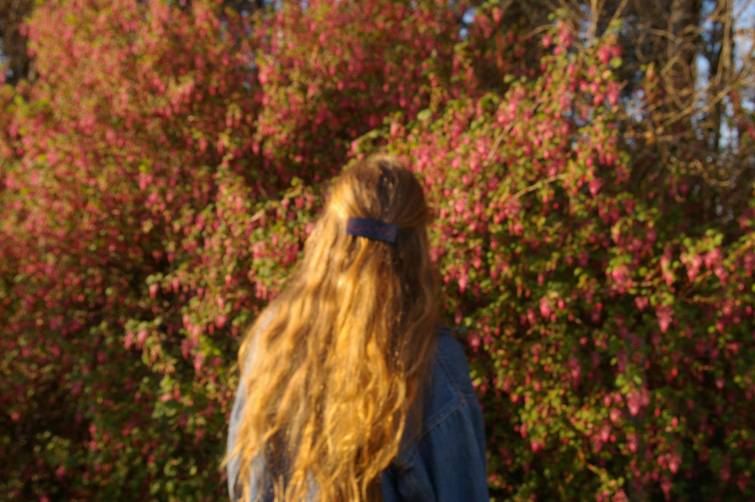 IMG_3001.jpeg