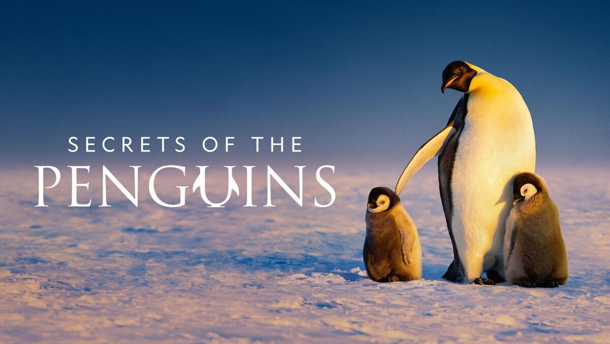 Secrets of the Penguins (Disney+/Hulu)