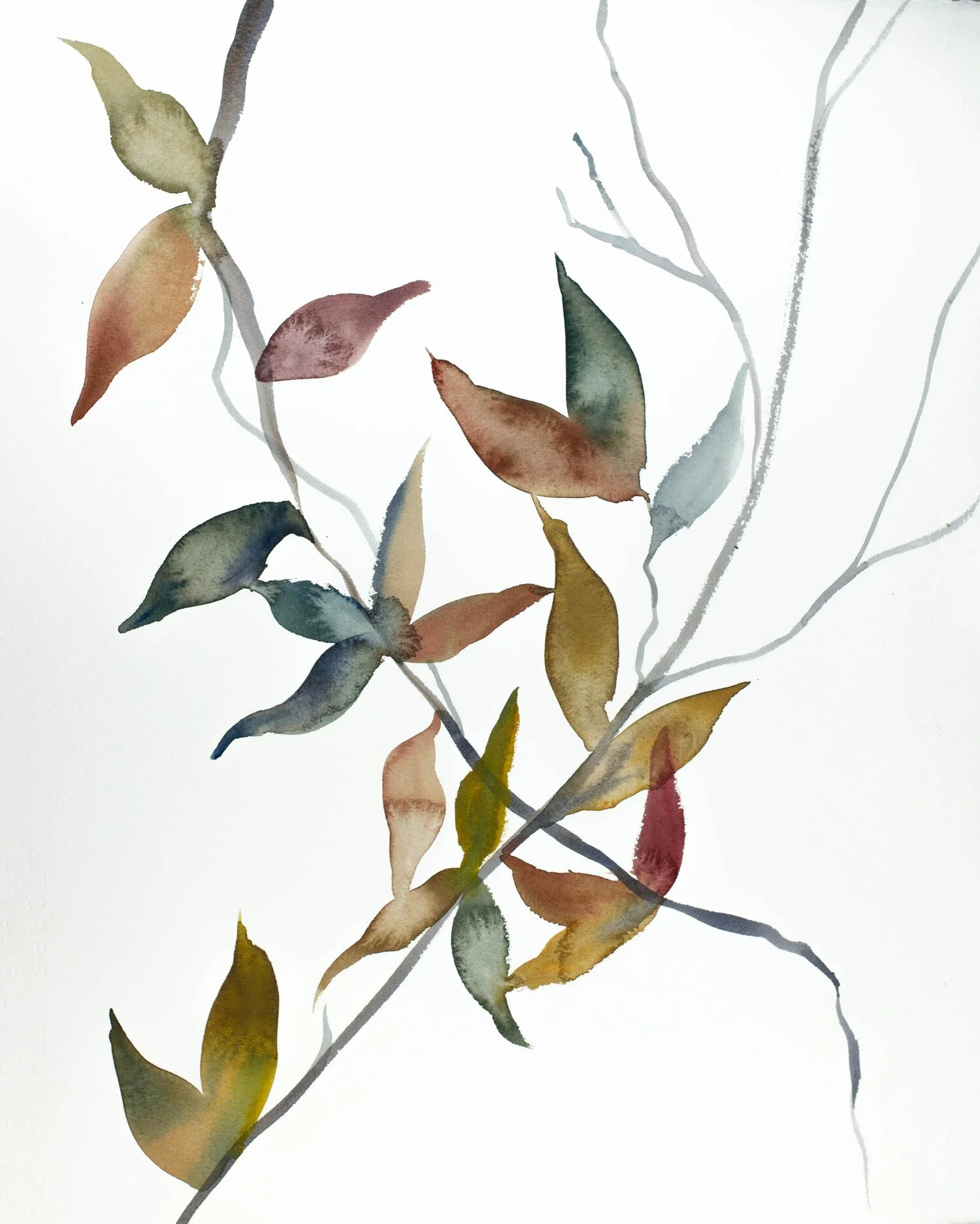 november+branches+no.+8.jpg