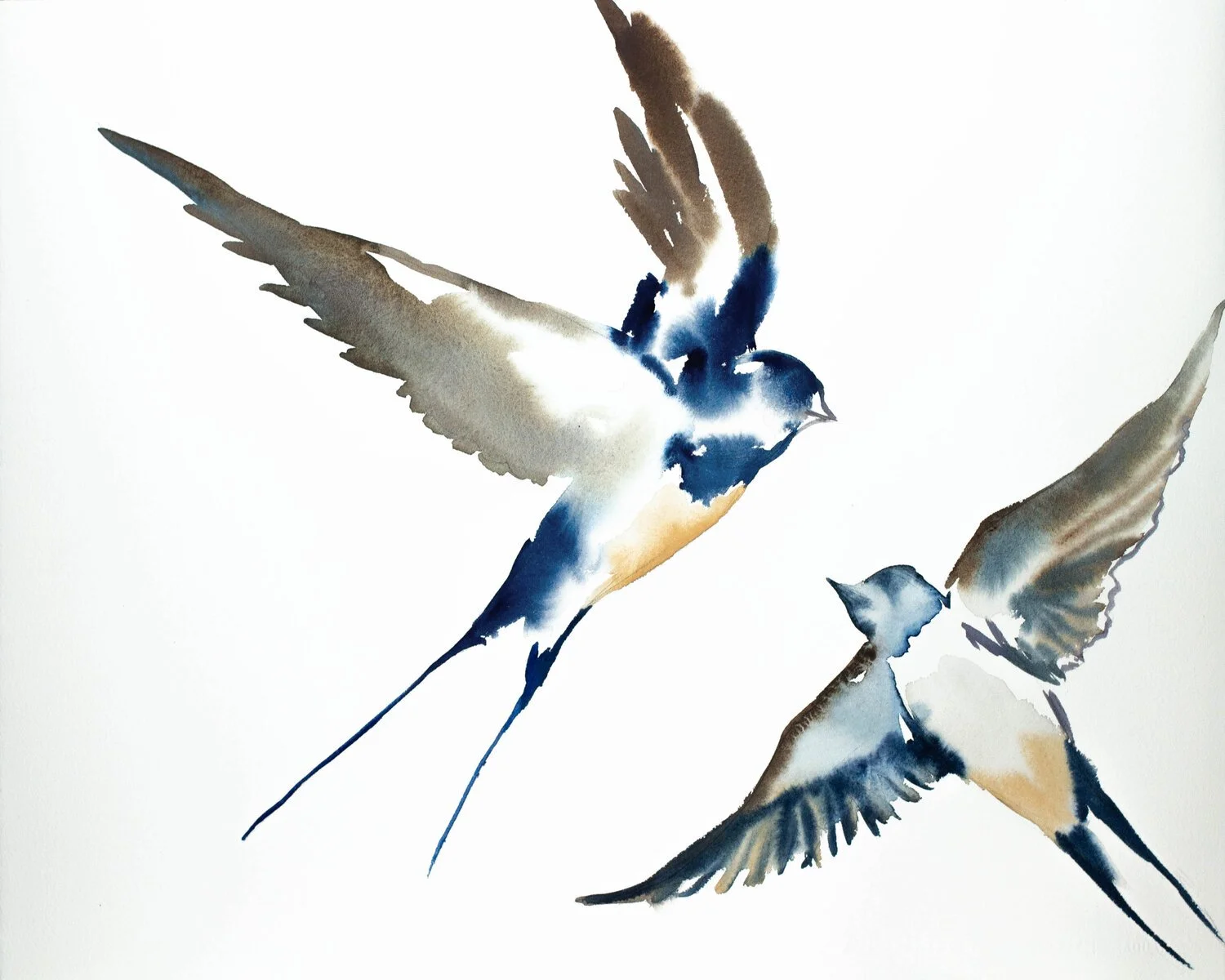 swallows+in+flight+no.+2.jpg