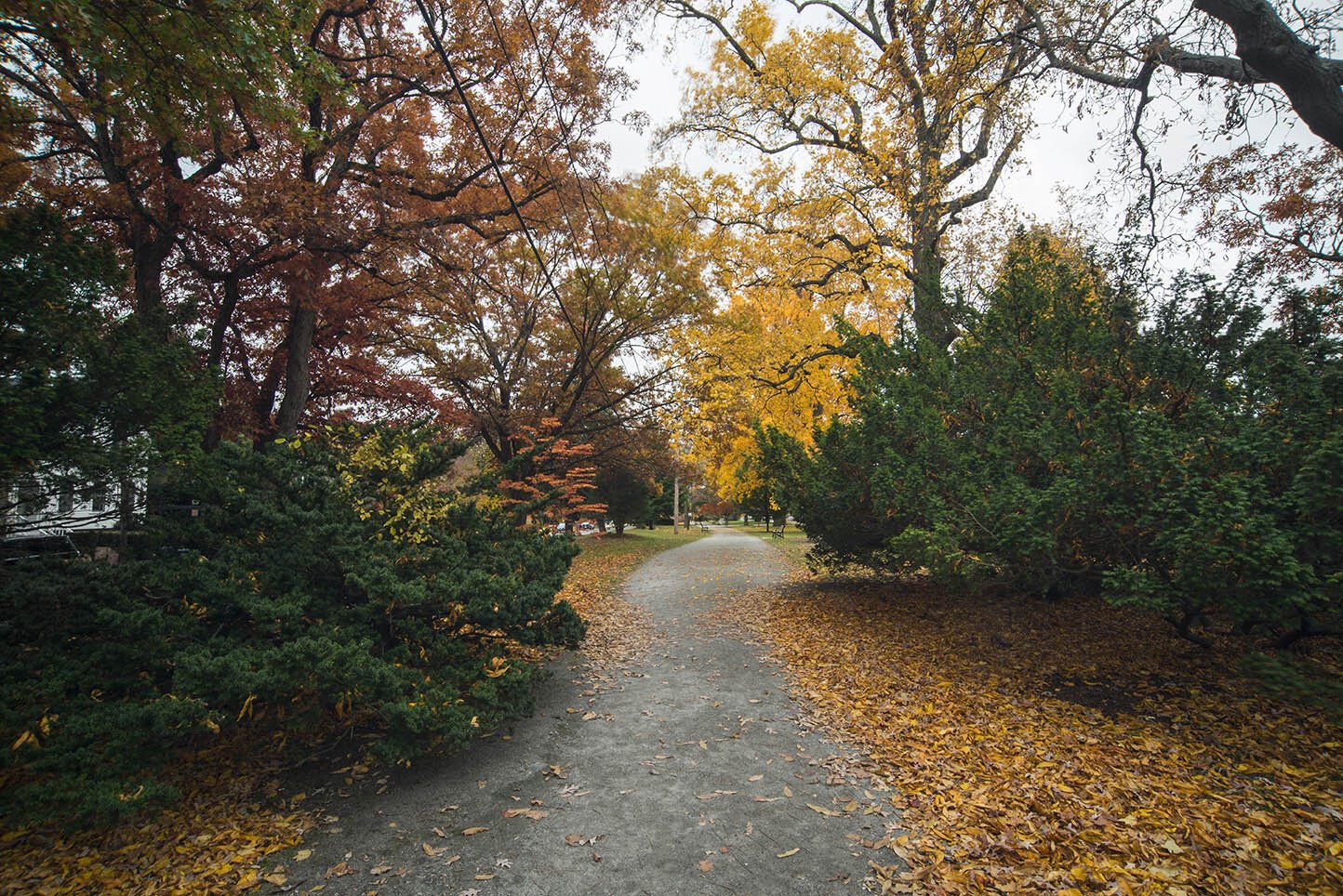 DSC_1203.jpeg