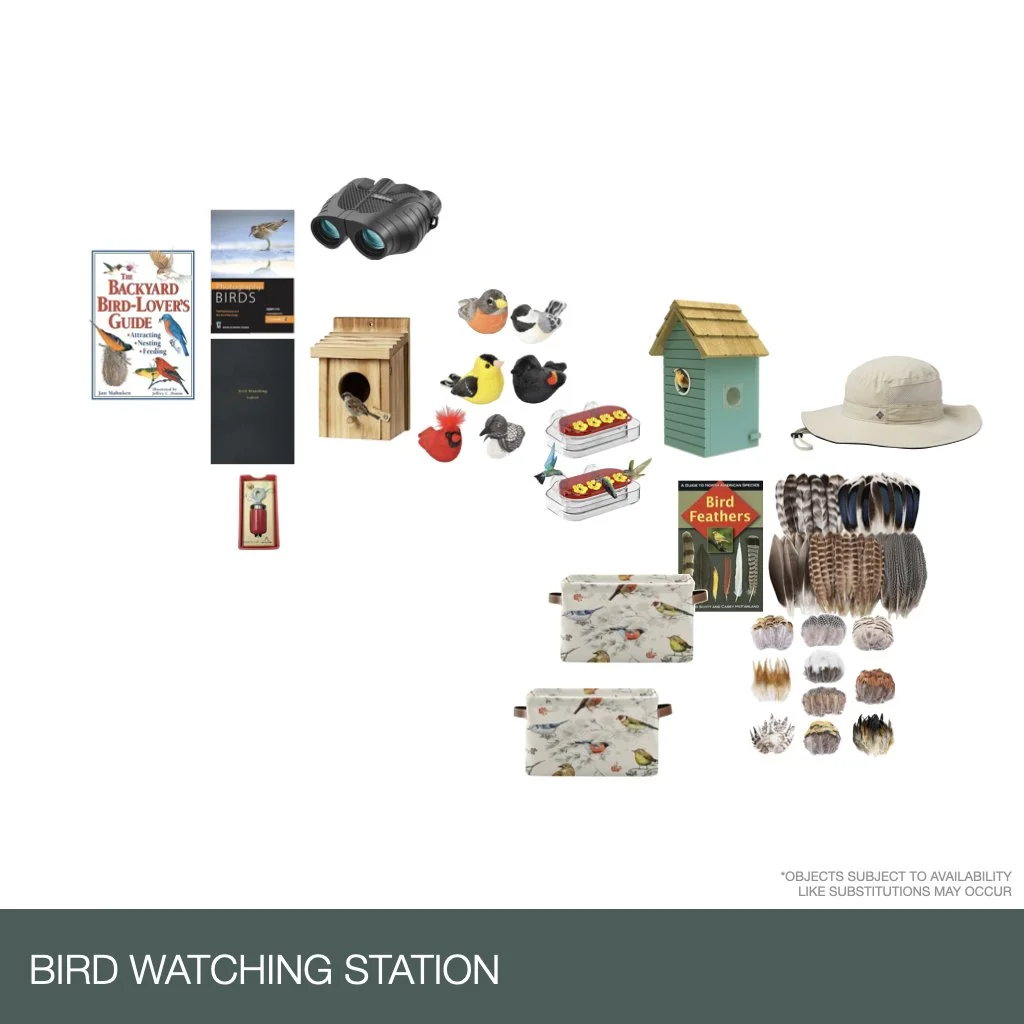 Bird Watching Life Skill Stations.003.jpeg