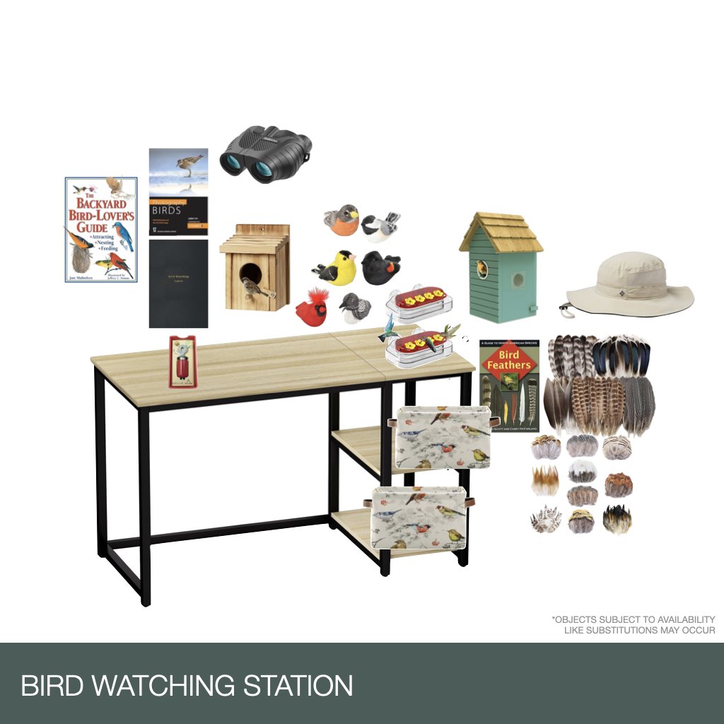 Bird Watching Life Skill Stations.002.jpeg