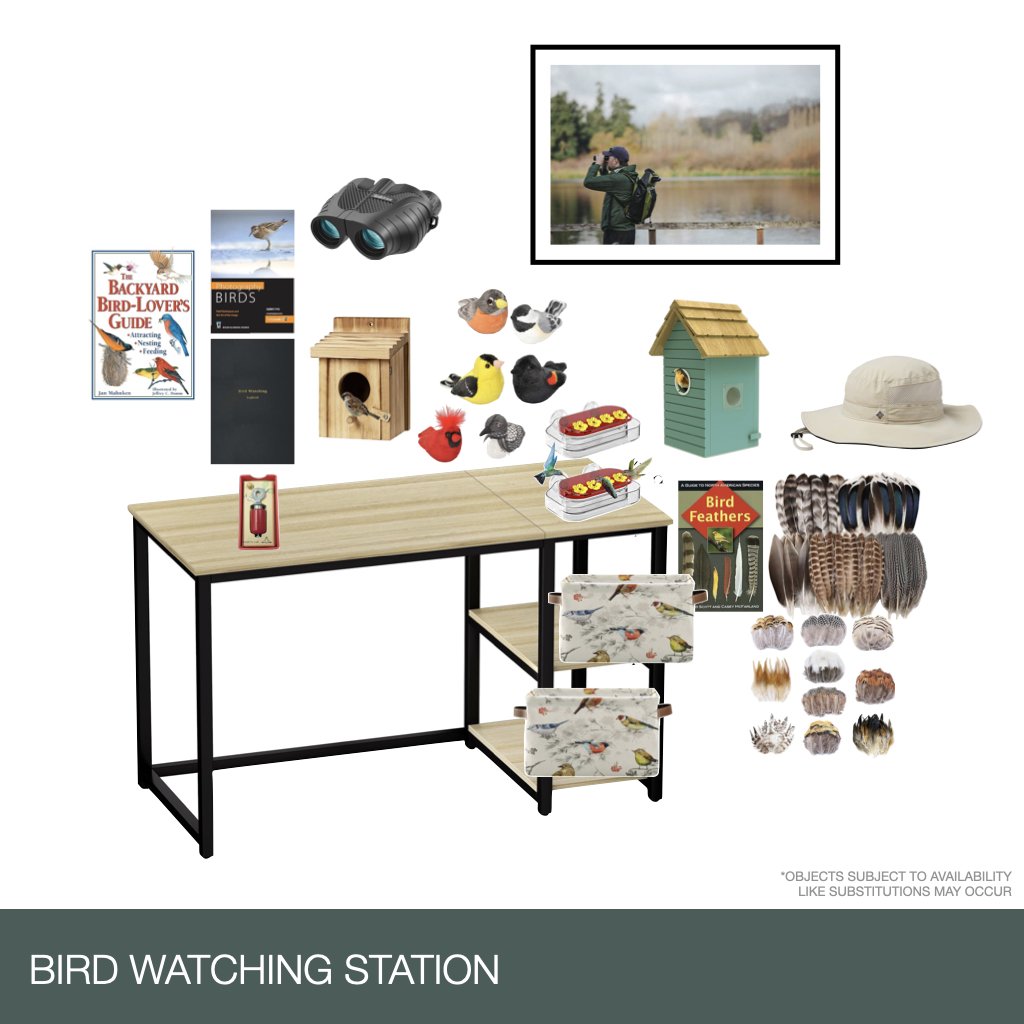 Bird Watching Life Skill Station