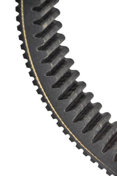 Belts P1317 2.jpeg