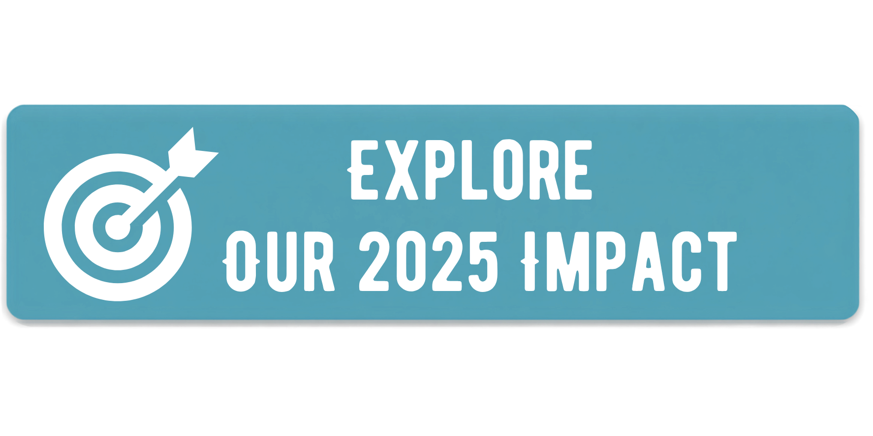 Explore Our 2025 Impact