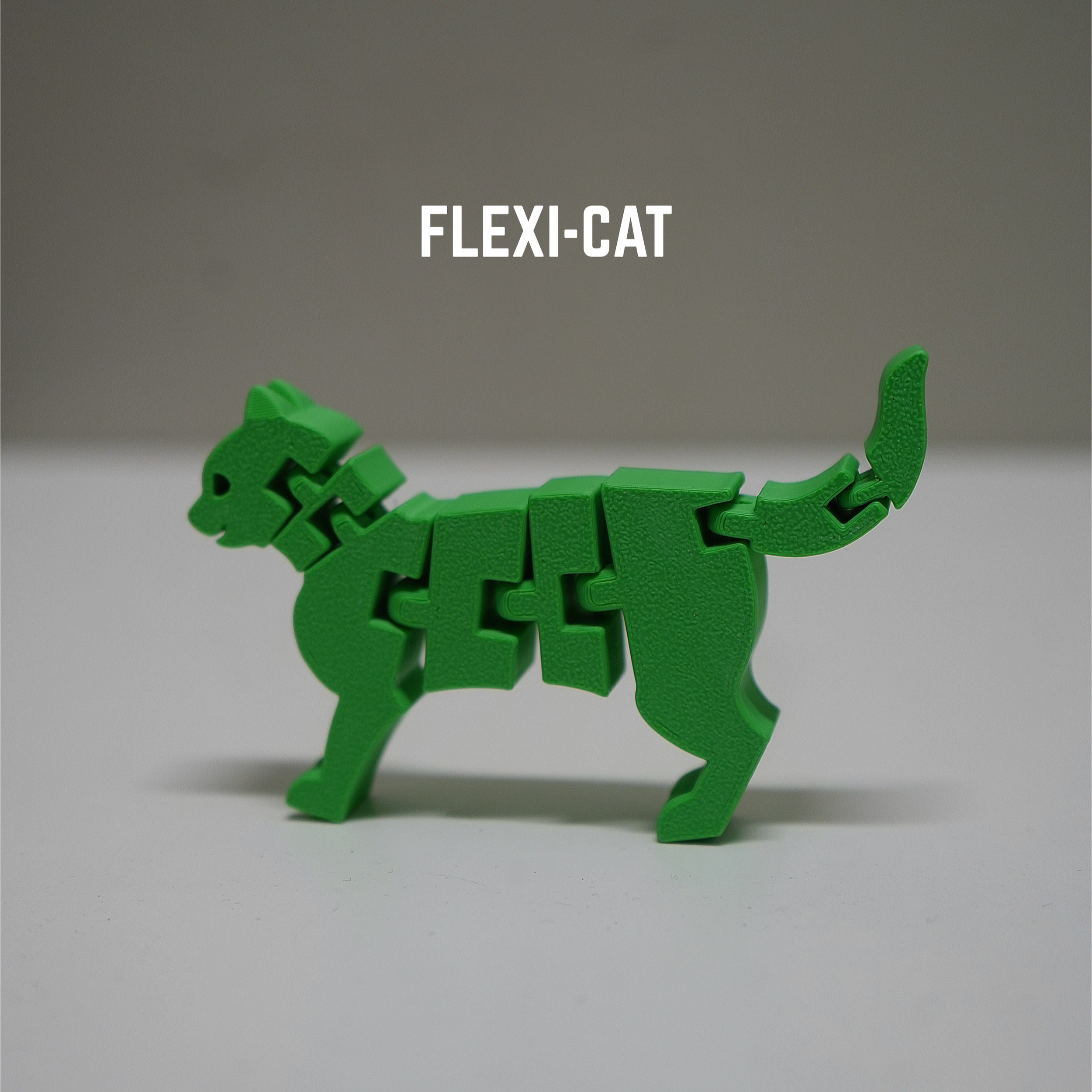 3D Printed Fidget Toys