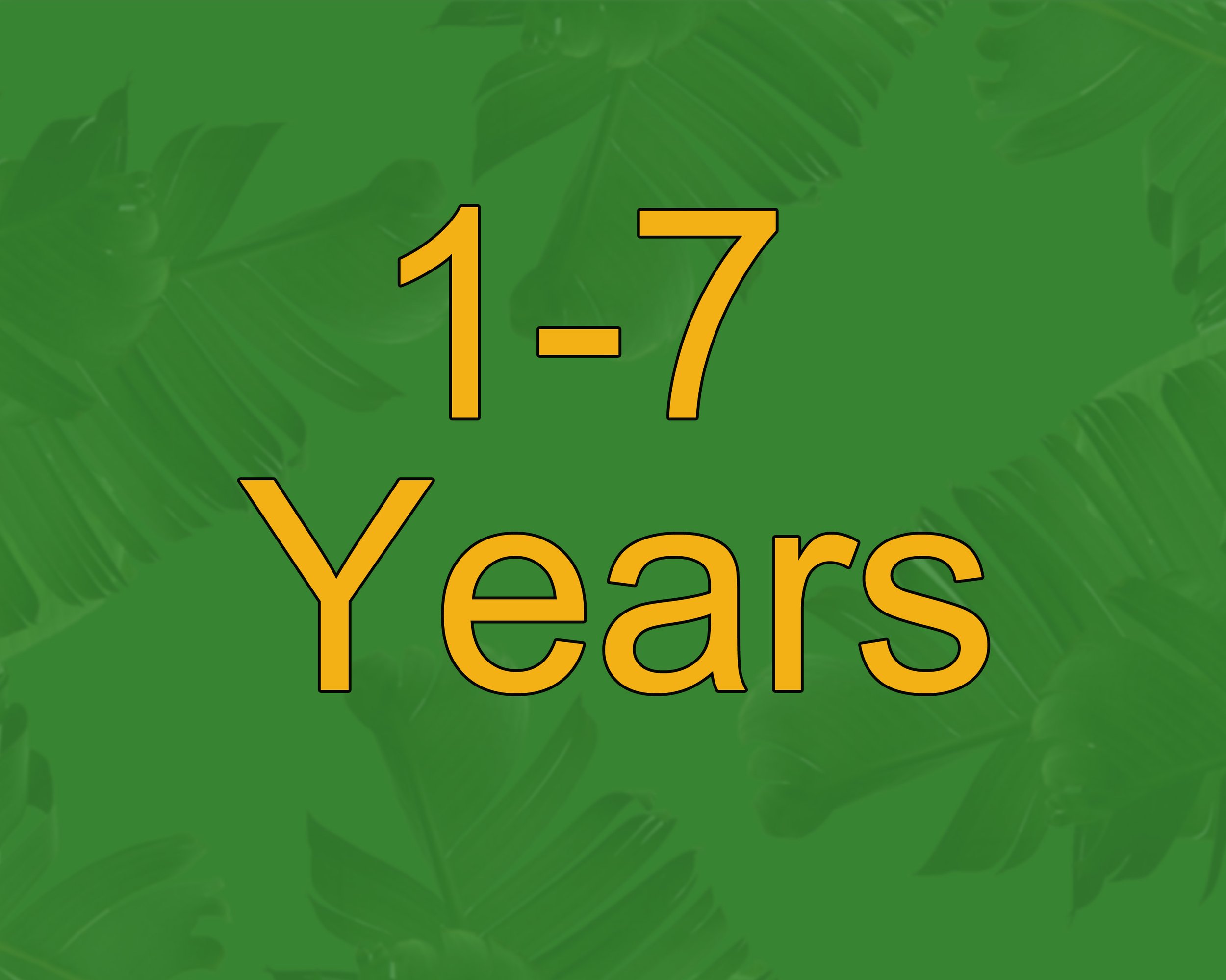 Text reading '1-3 years' on a green background with tropical leaf patterns.