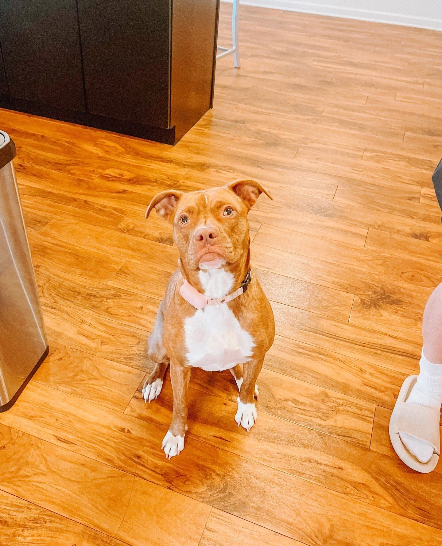 Photos — River Park Apartments