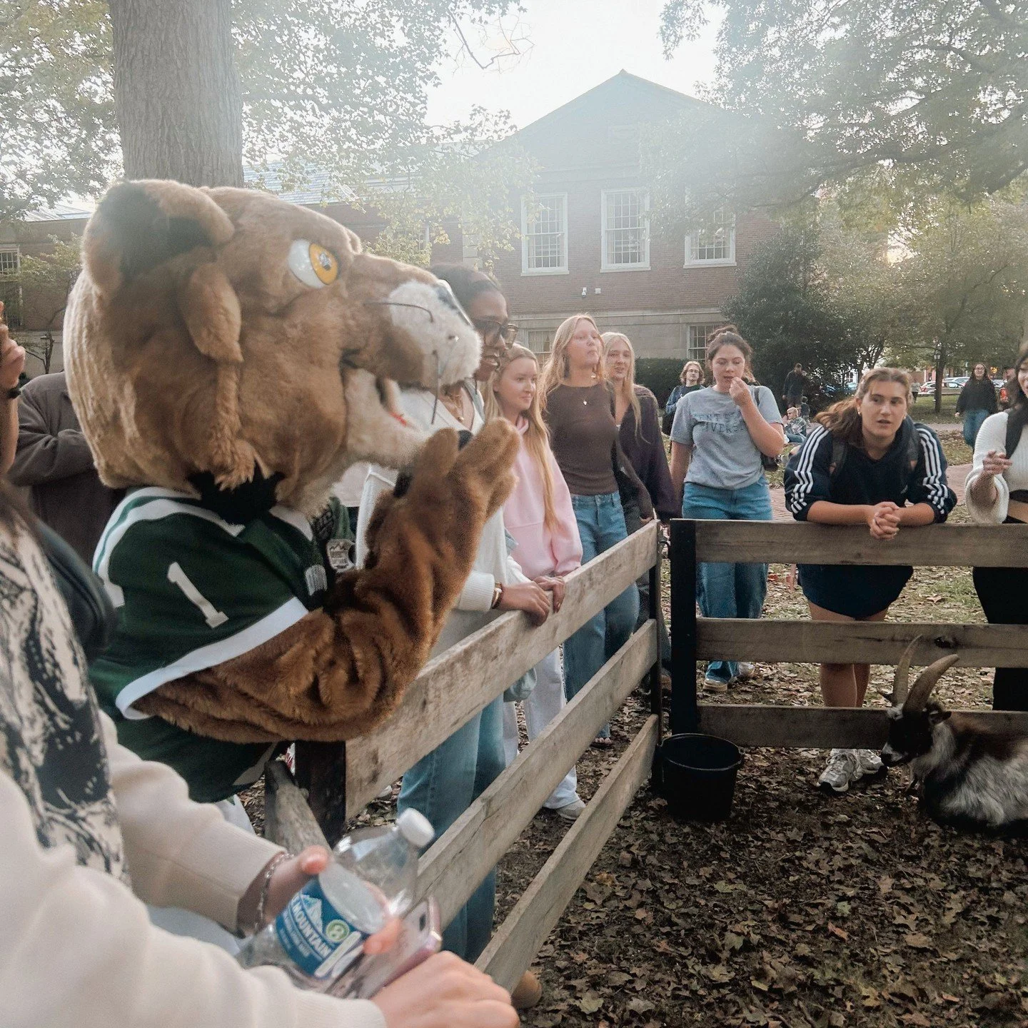 Rufus sighting on the green😁