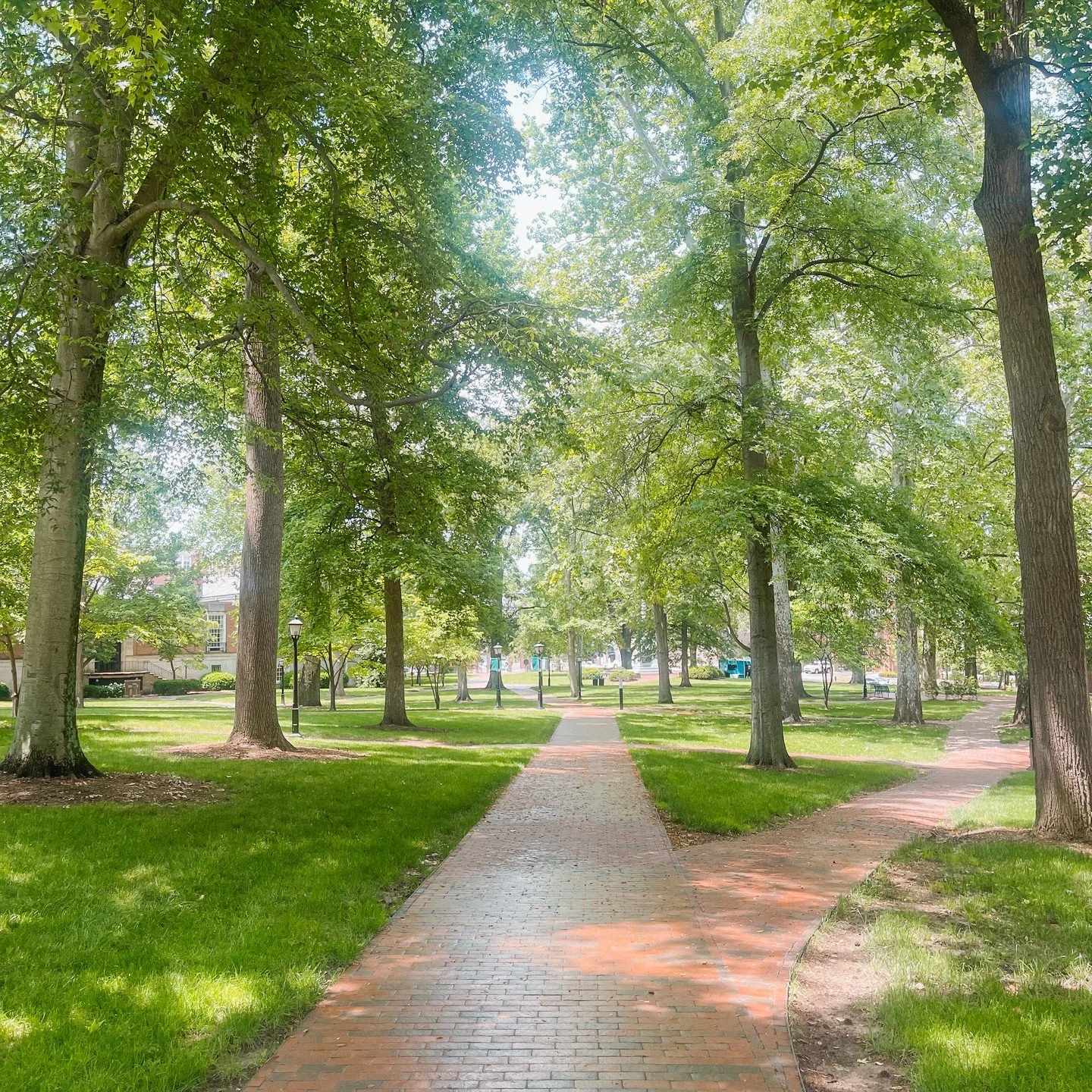 Missing are warm campus days right now 😪