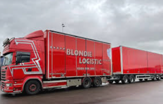 2026-02-12 11_12_09-blondie logistics - Google Search.png