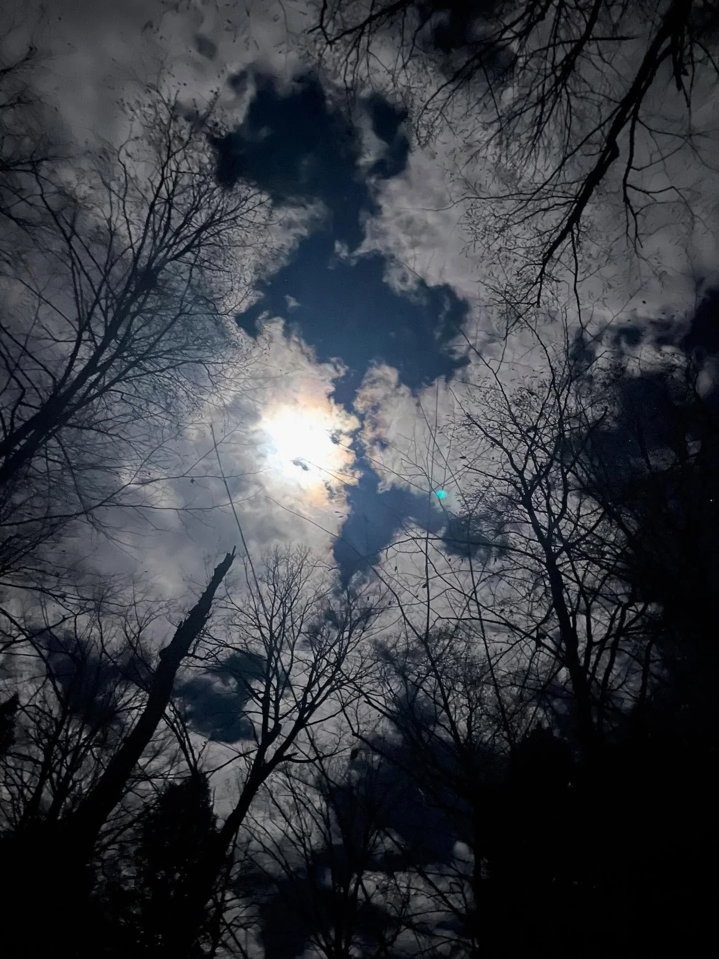 It&rsquo;s Stick Season in Vermont
&hellip;that&rsquo;s actually a thing here not just a Noah Kahan song 😉
I won&rsquo;t be keeping retail shop hours for the next couple of weeks. But I am here often making and packing up orders so you can always ri