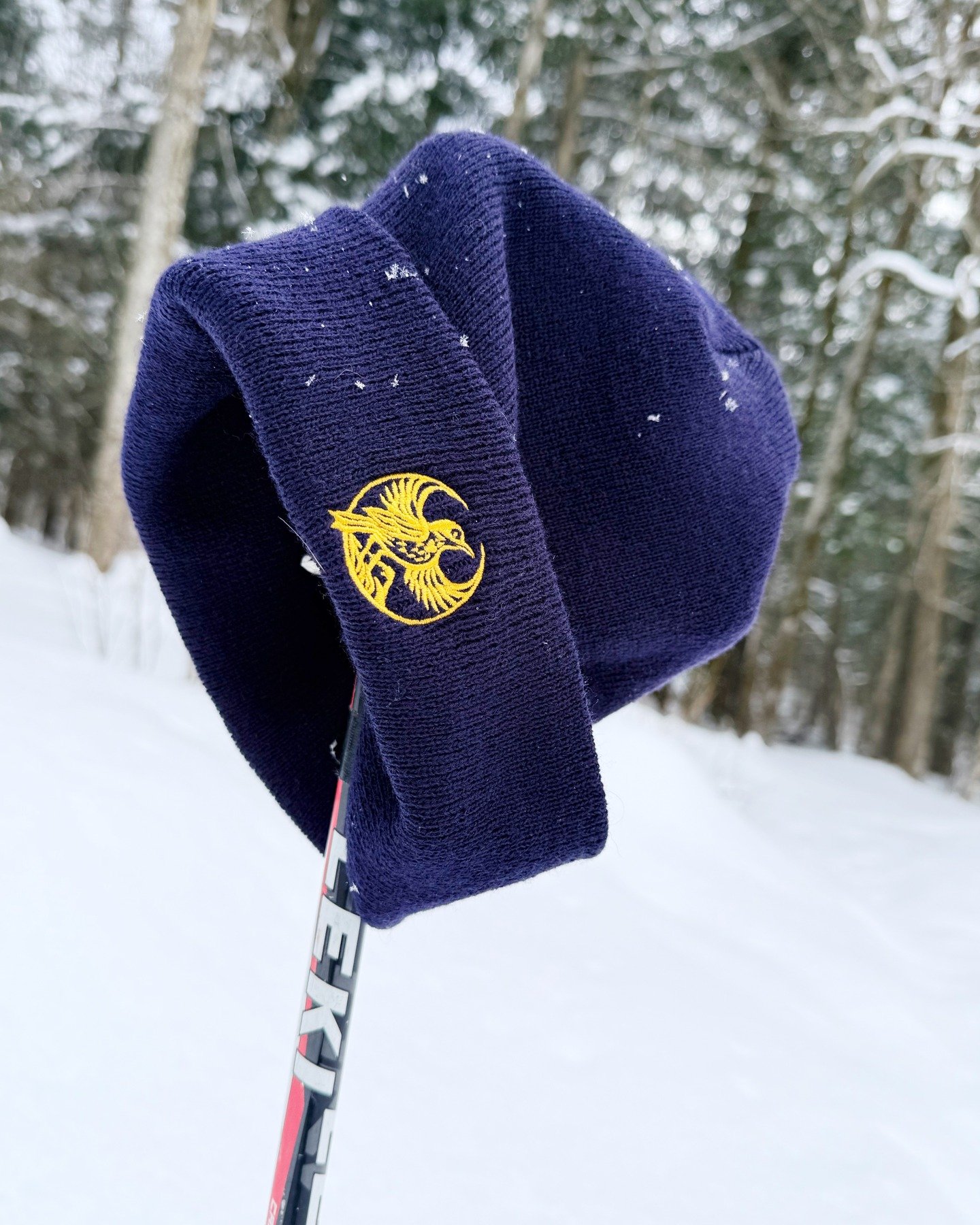 It's a Blue Bird Day

I've added some new colors of the Vermont Rebel Bird Cuffed Beanie to the shop, plus a 5‑panel hat&mdash;which Jeff promptly stole from me the moment it arrived, confirming it was worth adding as an option, too. Action shot soon
