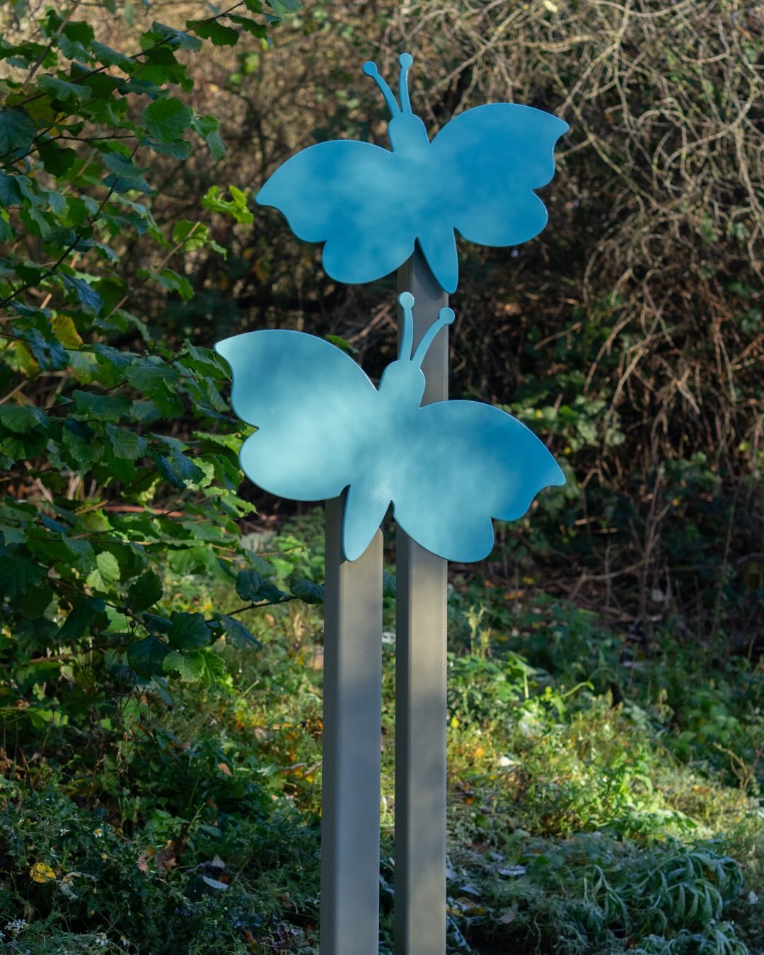 Last year we worked on a dream project at Shire Brook Valley, a 100 acre nature reserve in Sheffield. A former brownfield site, the reserve has been transformed by the council and a small but mighty team of volunteers. We were asked to create a perma