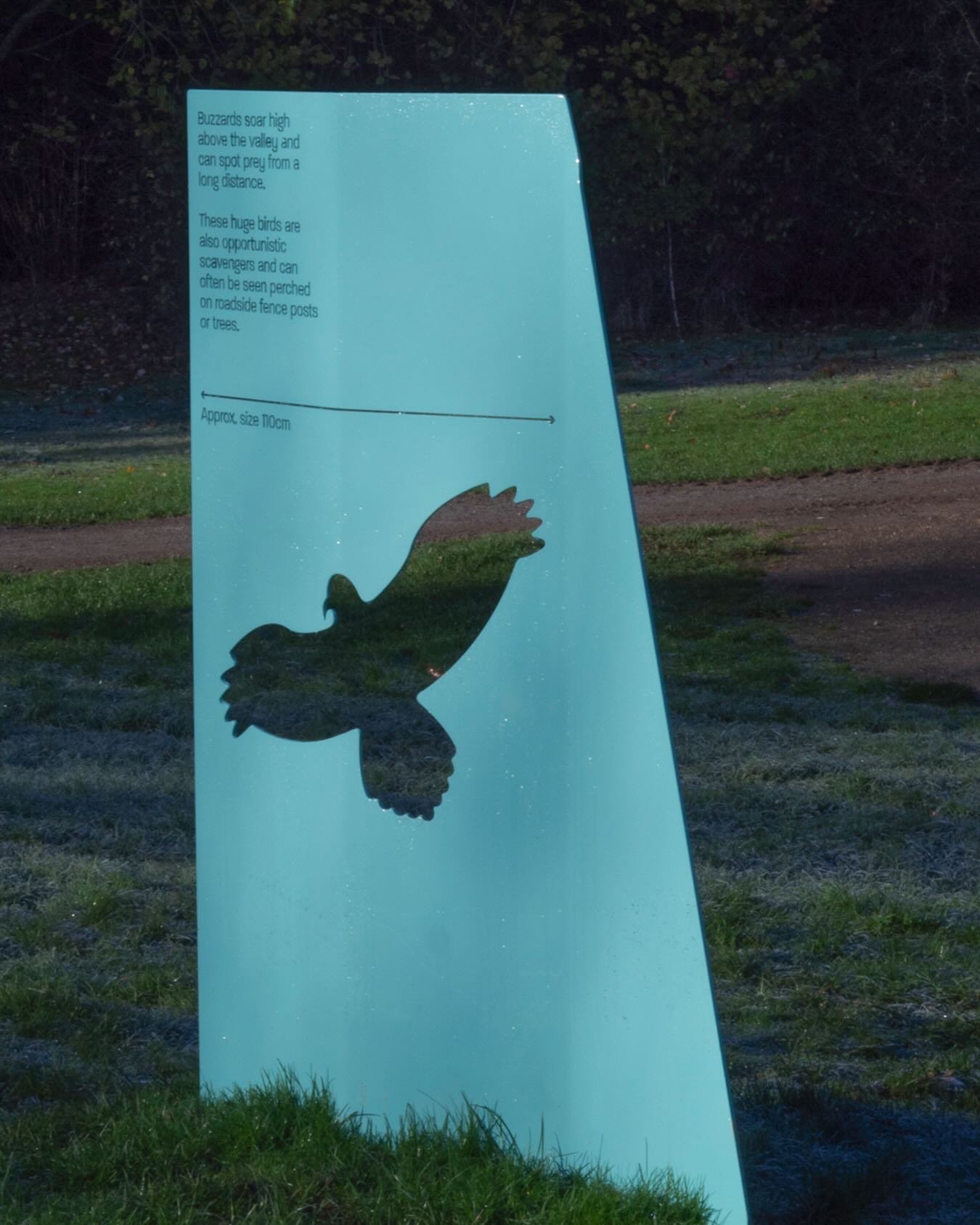 Last year we worked on a dream project at Shire Brook Valley, a 100 acre nature reserve in Sheffield. A former brownfield site, the reserve has been transformed by the council and a small but mighty team of volunteers. We were asked to create a perma